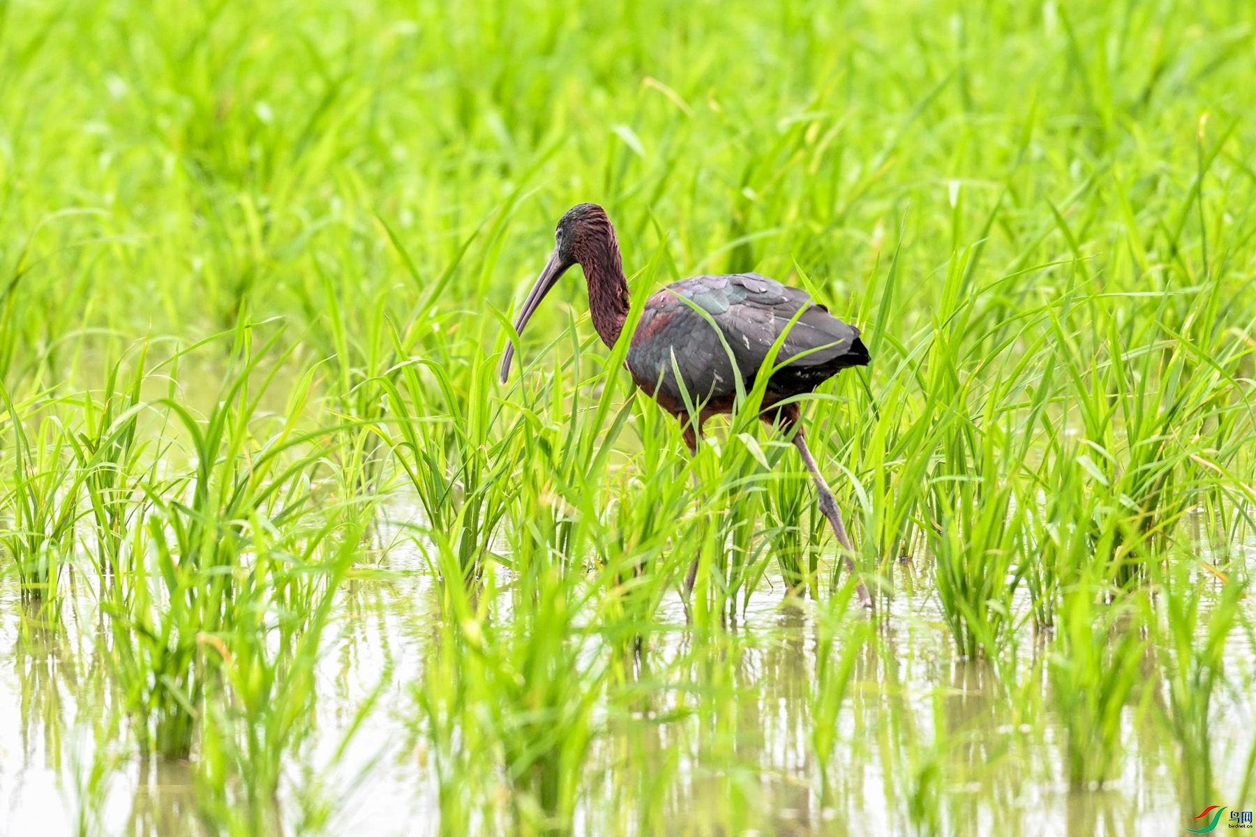 DSC_7777.JPG