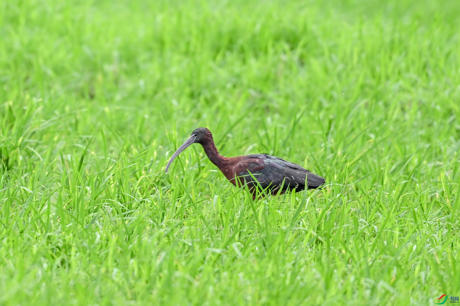 DSC_7793.JPG