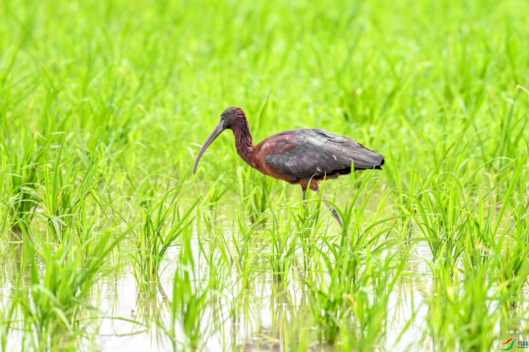 DSC_7779.JPG