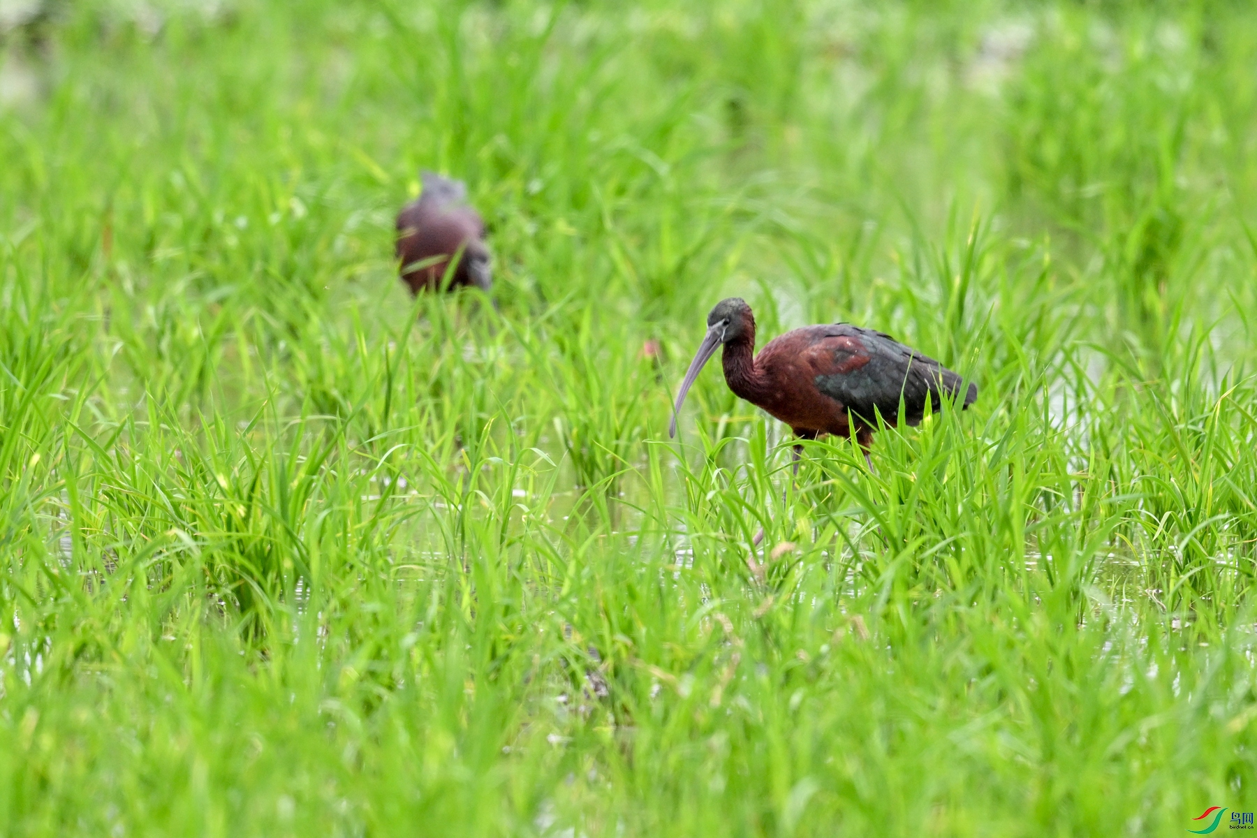 DSC_7810.JPG