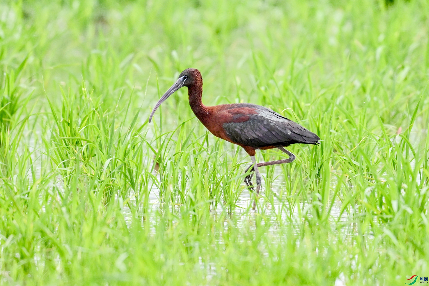 DSC_7729.JPG