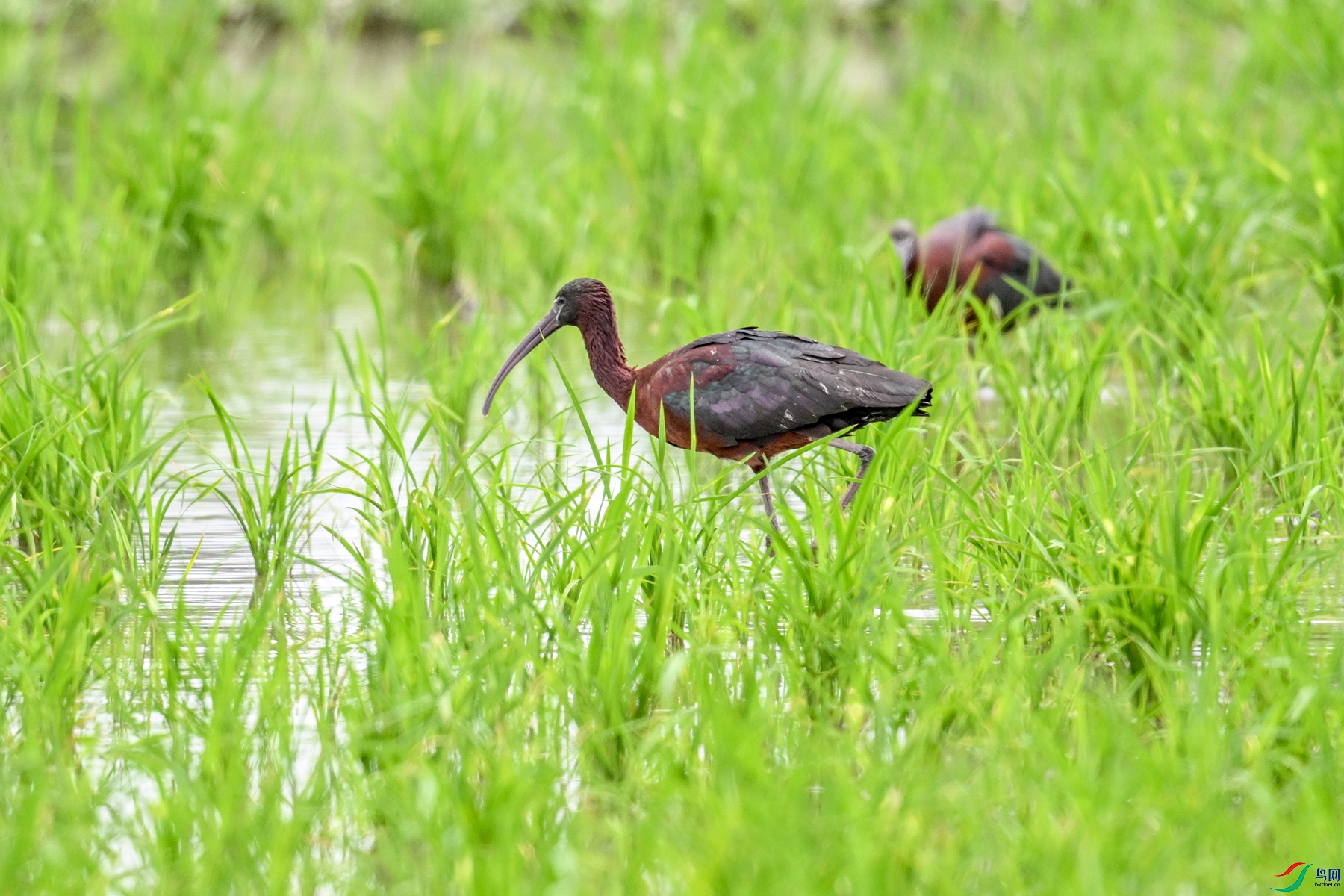 DSC_7815.JPG