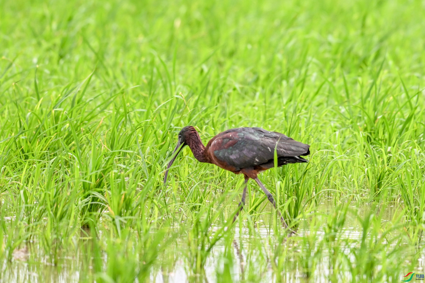 DSC_7782.JPG