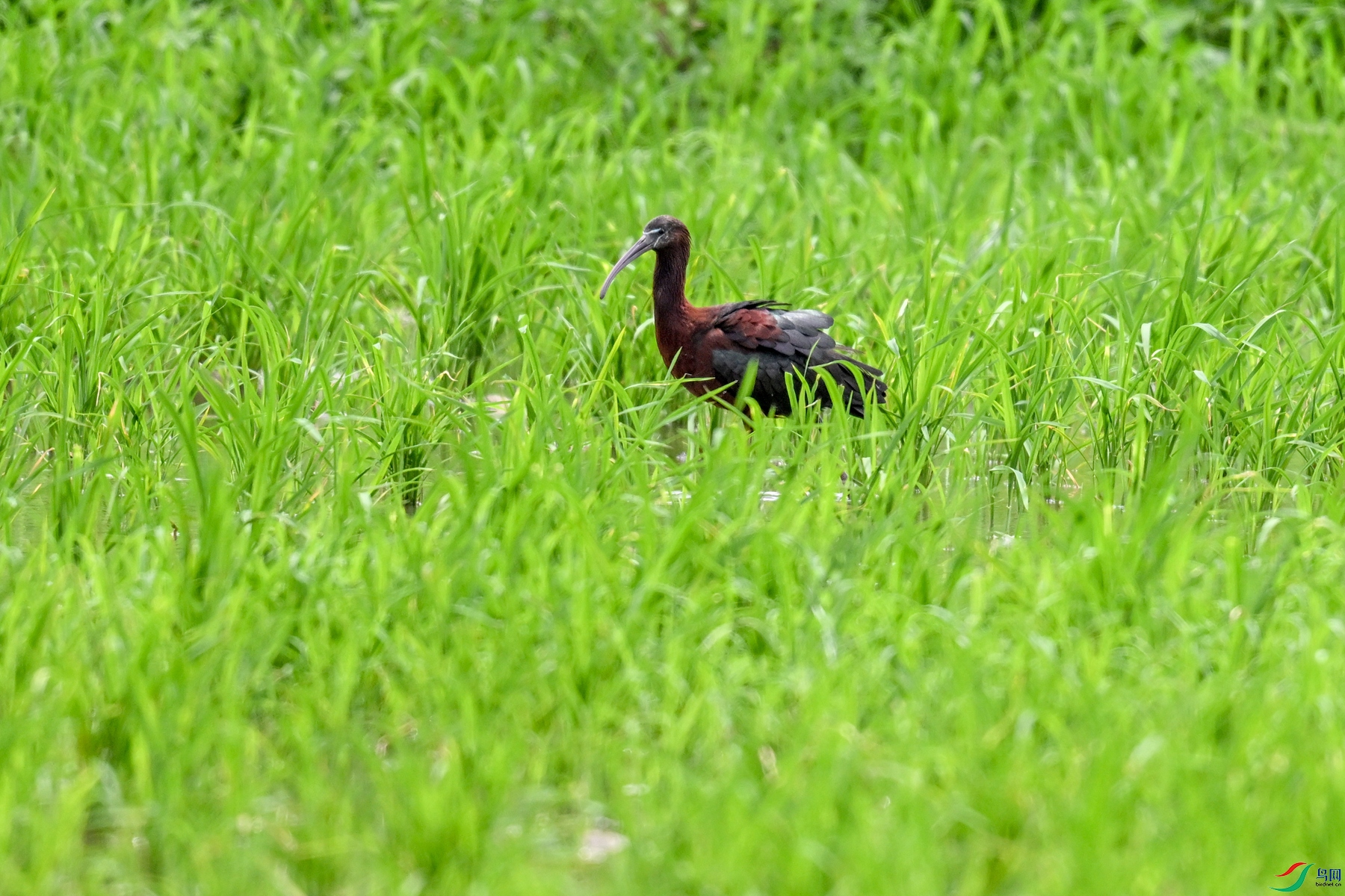 DSC_7788.JPG