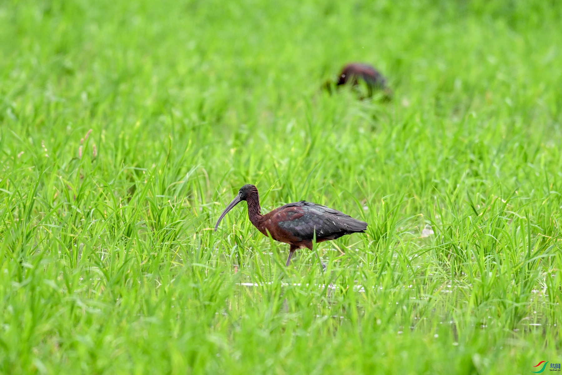 DSC_7809.JPG