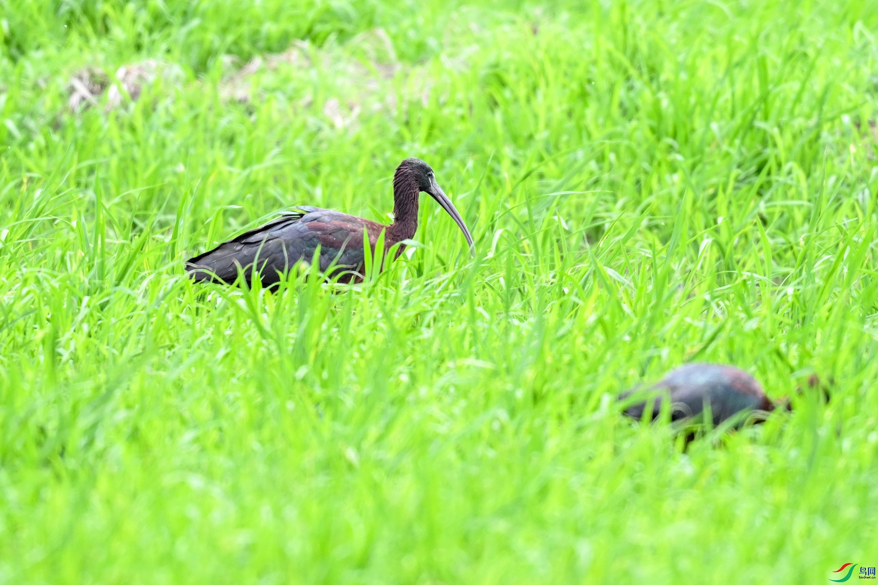 DSC_7791.JPG