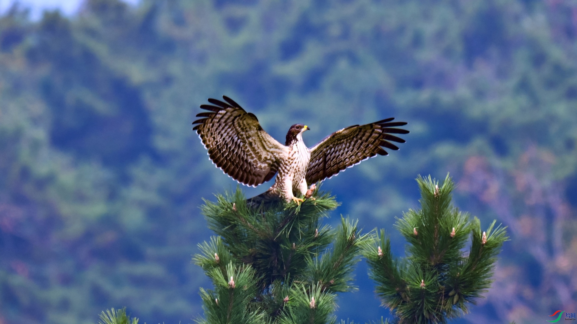 DSC_0544_��ͼ��.jpg