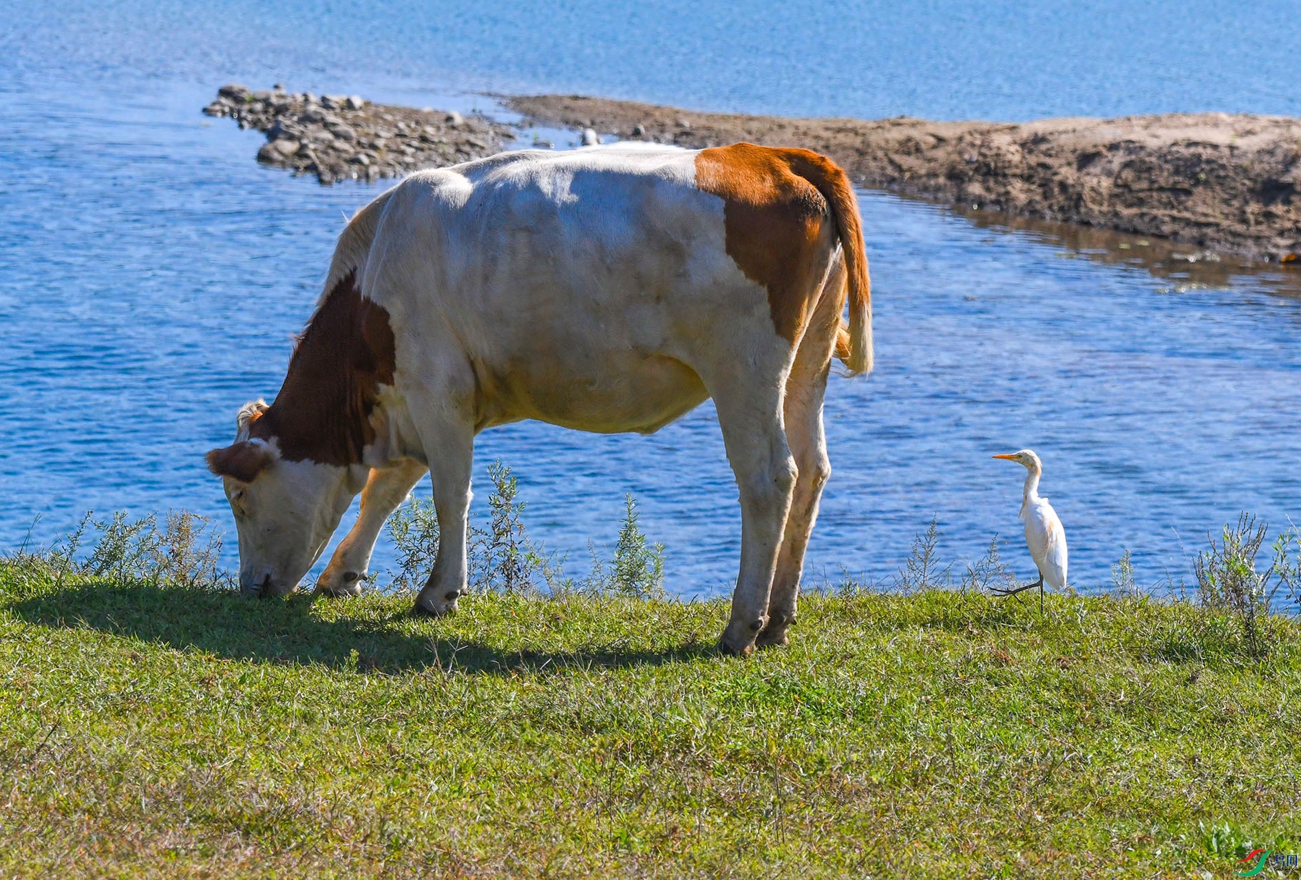 DSC_0300_��ͼ�� ����.jpg