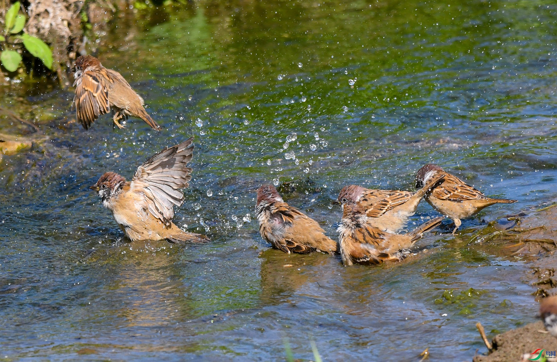 DSC_2568_��ͼ�� ����.jpg