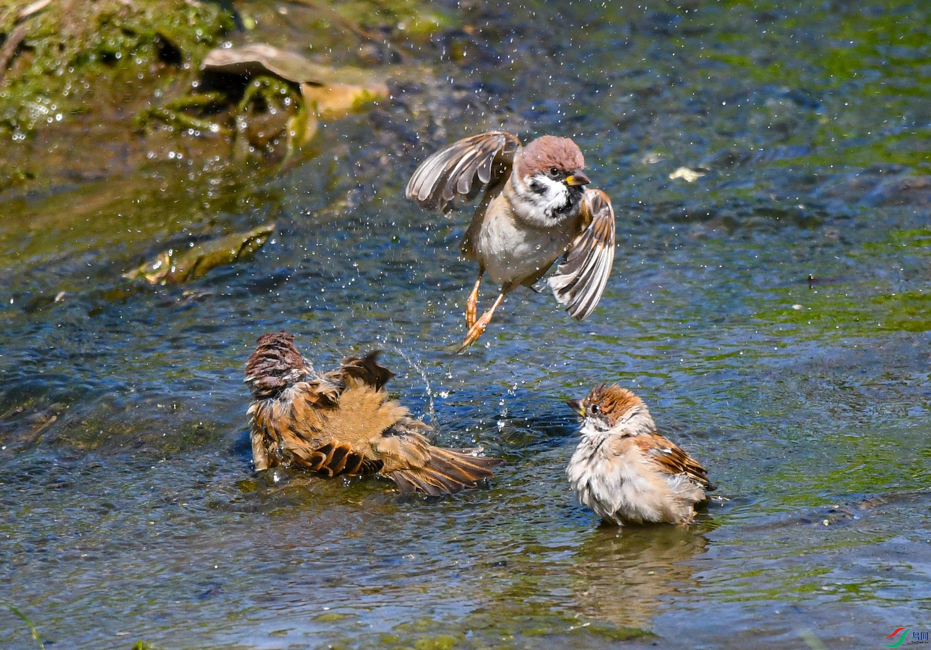 DSC_2556_��ͼ�� ����.jpg