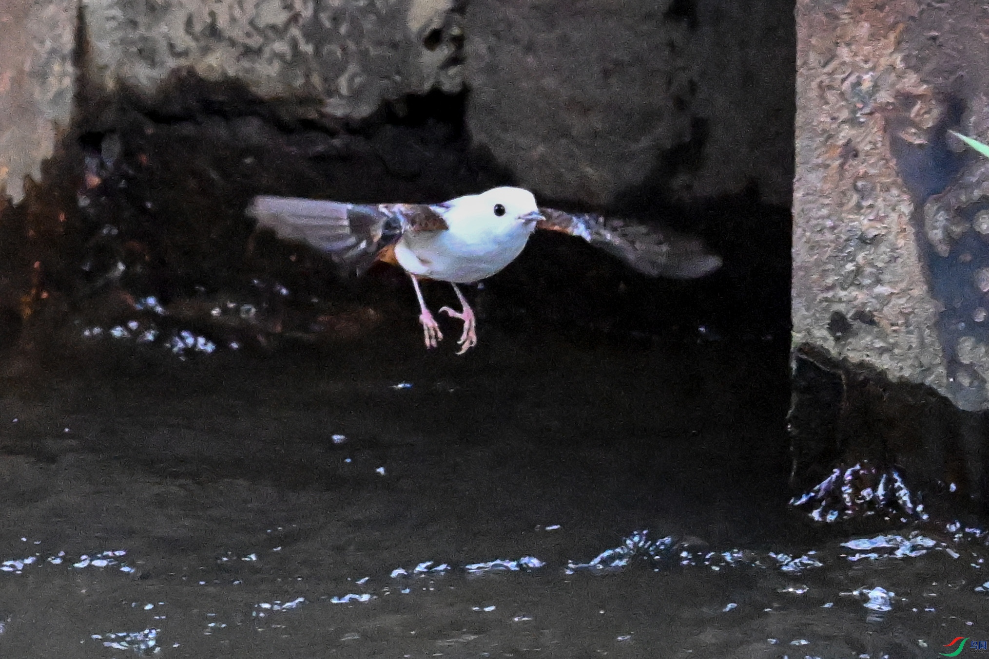 DSC_3042.JPG