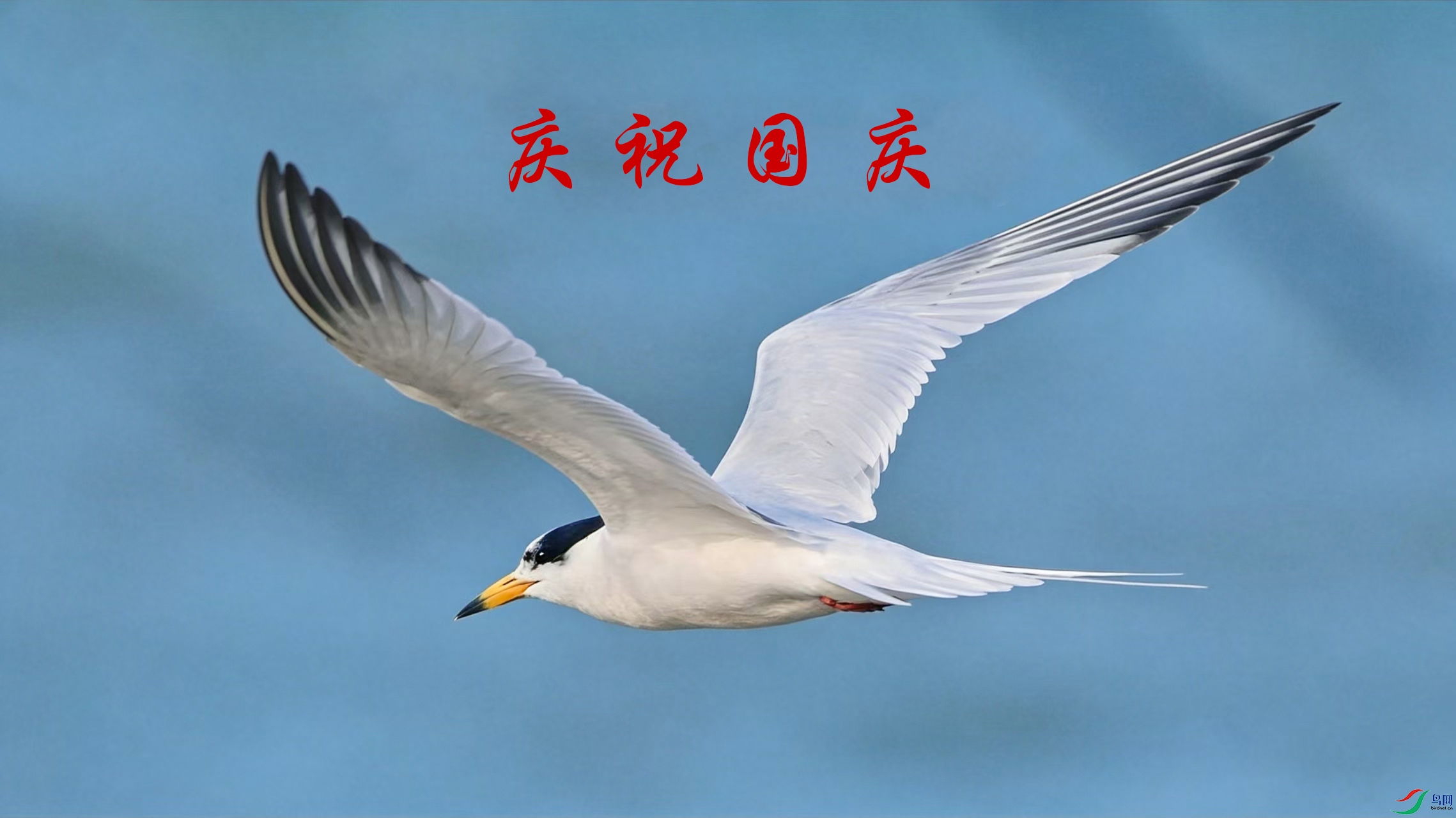 d409a58.jpg