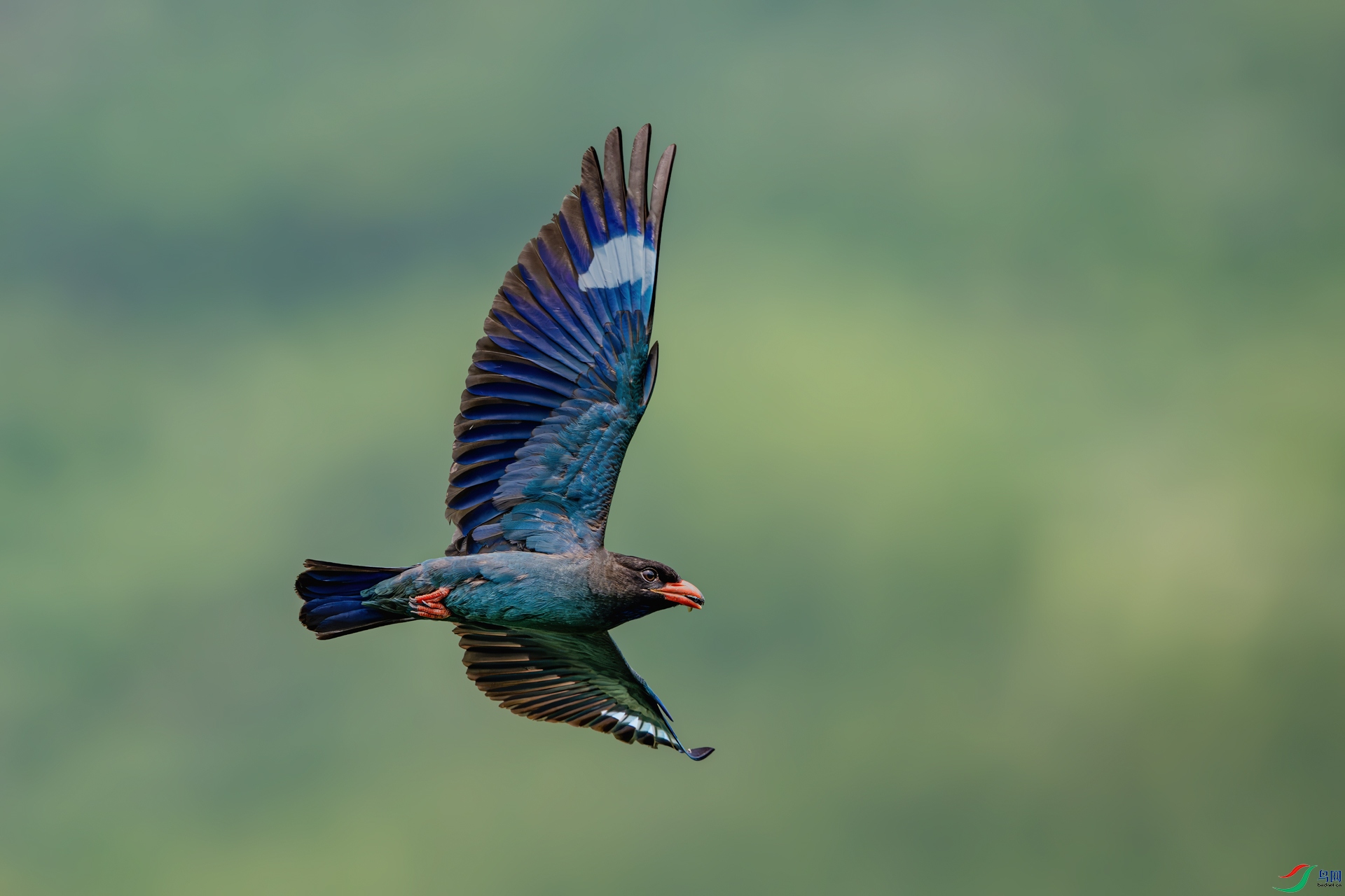 _DSC4502-С.jpg