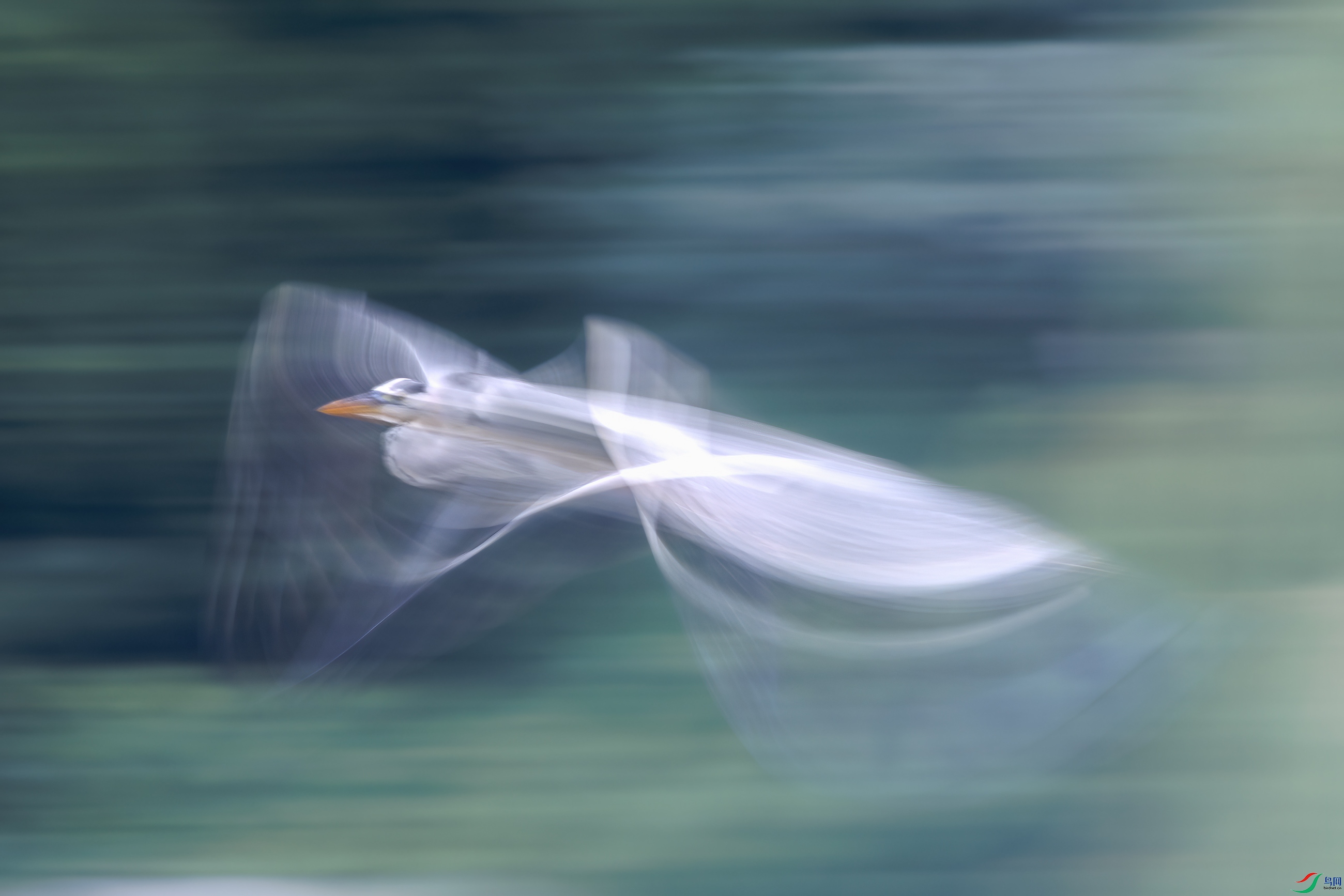 ����1089A9283-1.jpg