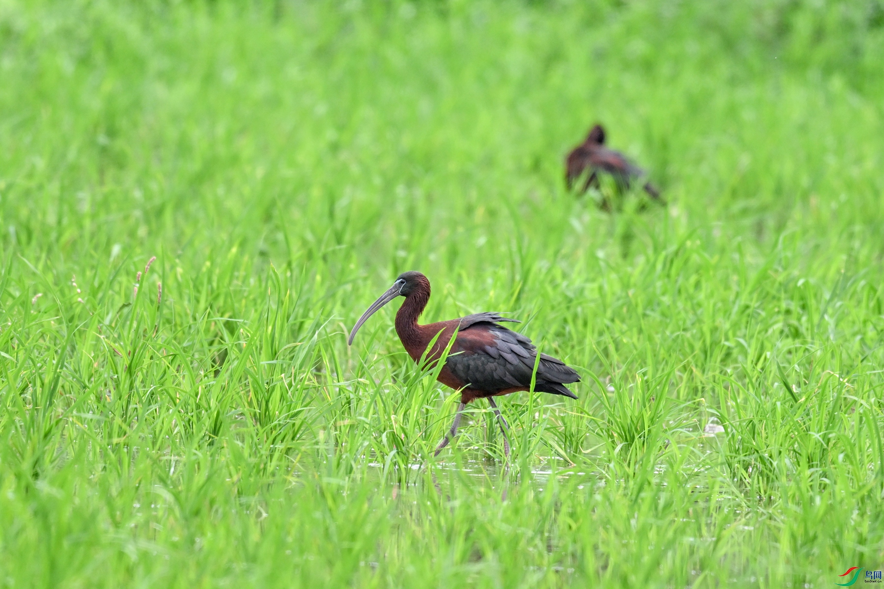 DSC_7803.JPG