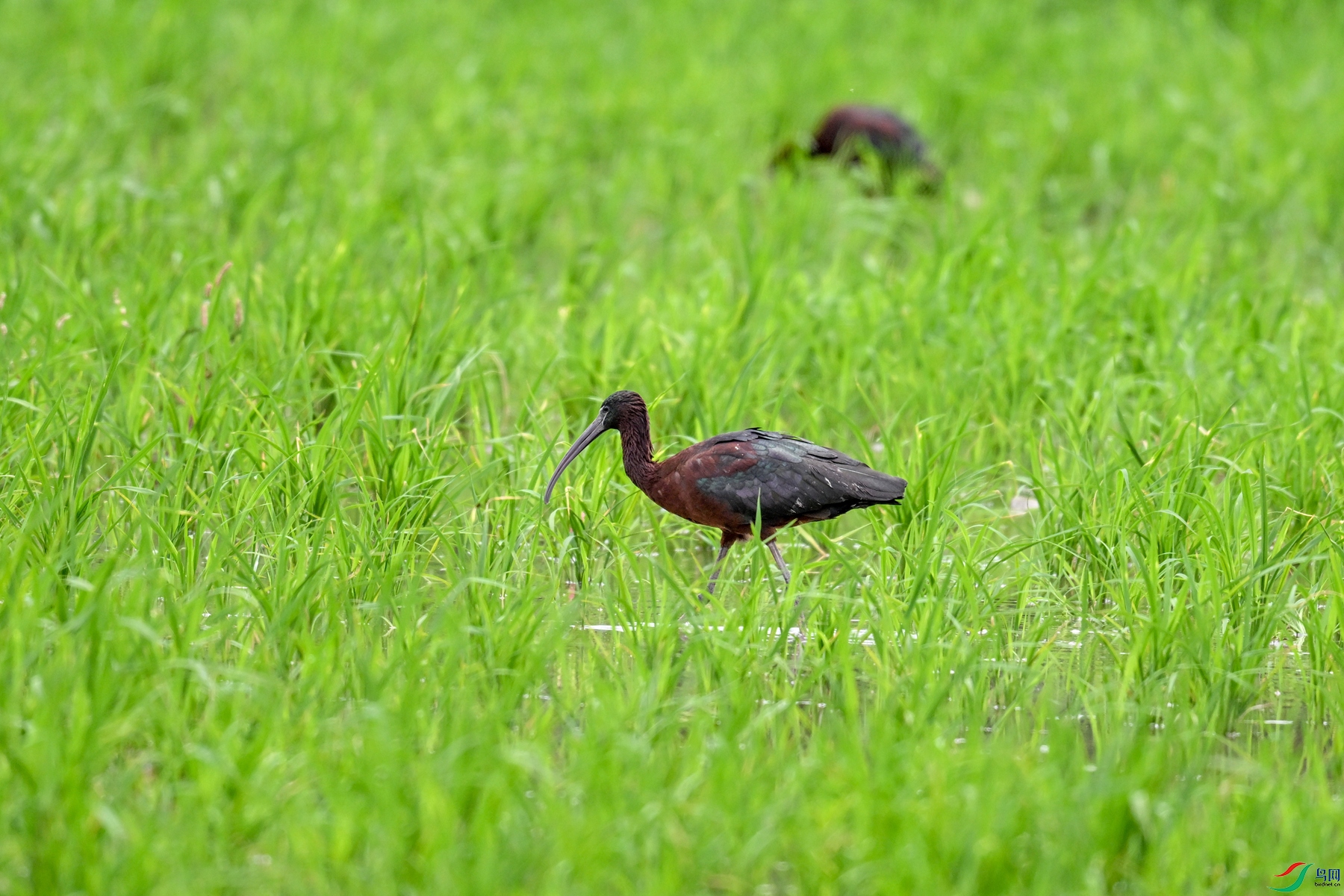 DSC_7808.JPG