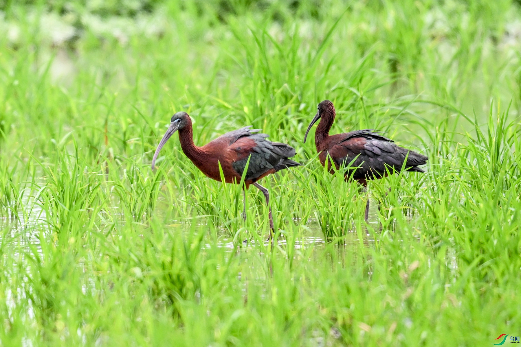DSC_7831.JPG