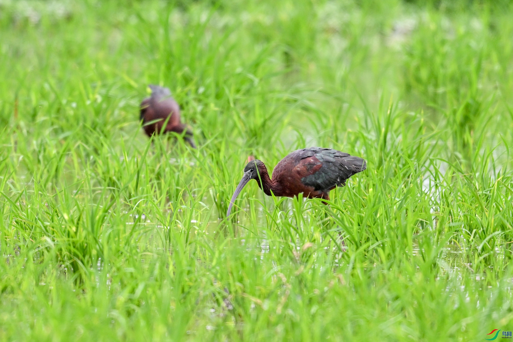 DSC_7813.JPG