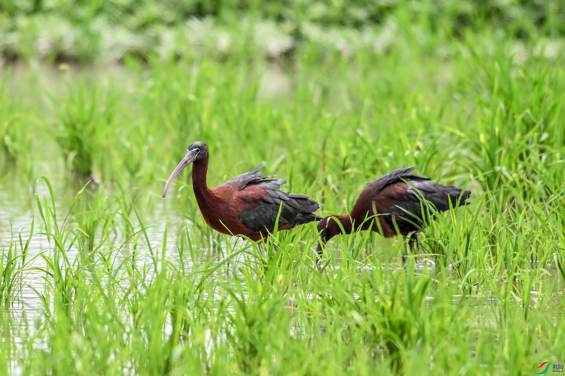 DSC_7834.JPG