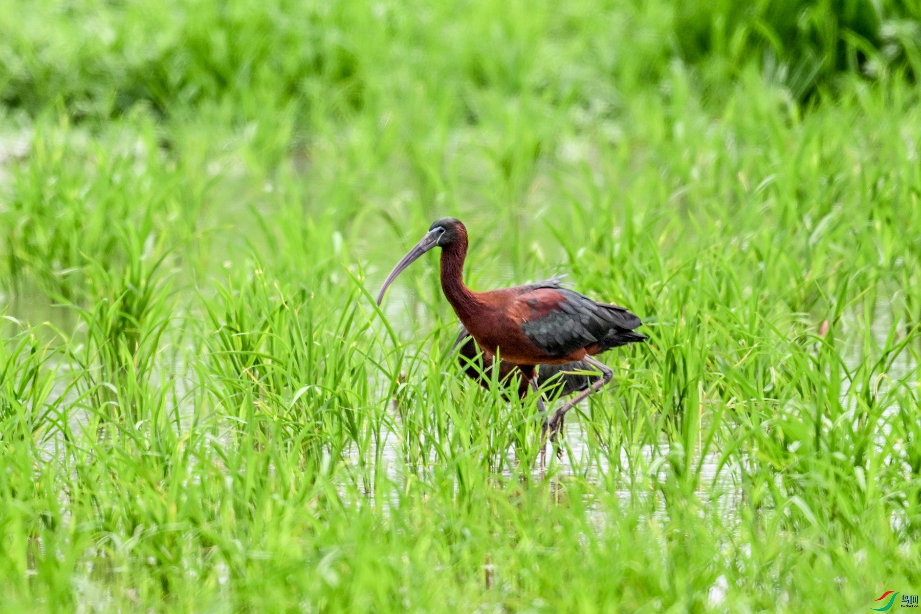 DSC_7819.JPG