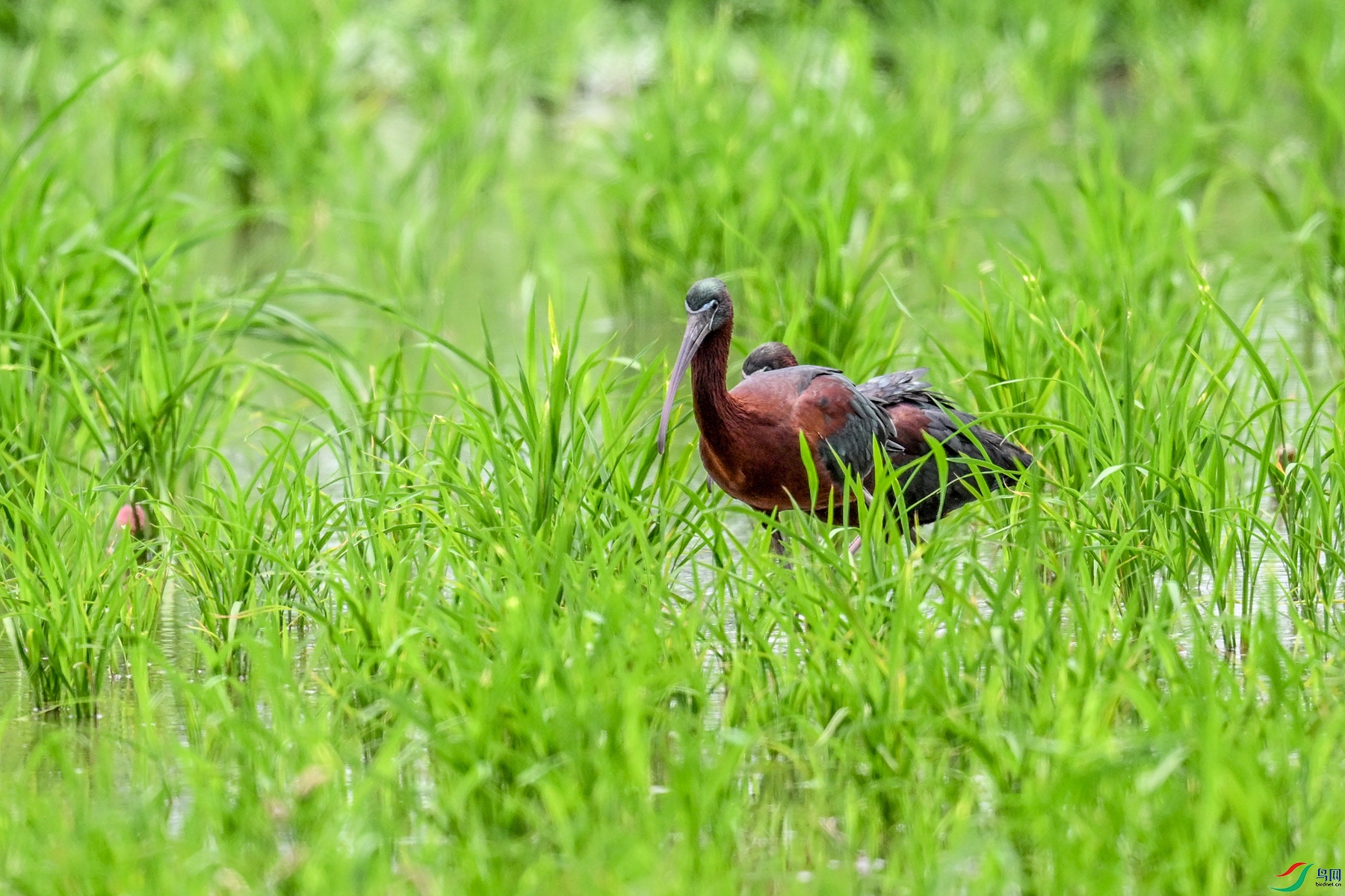 DSC_7821.JPG