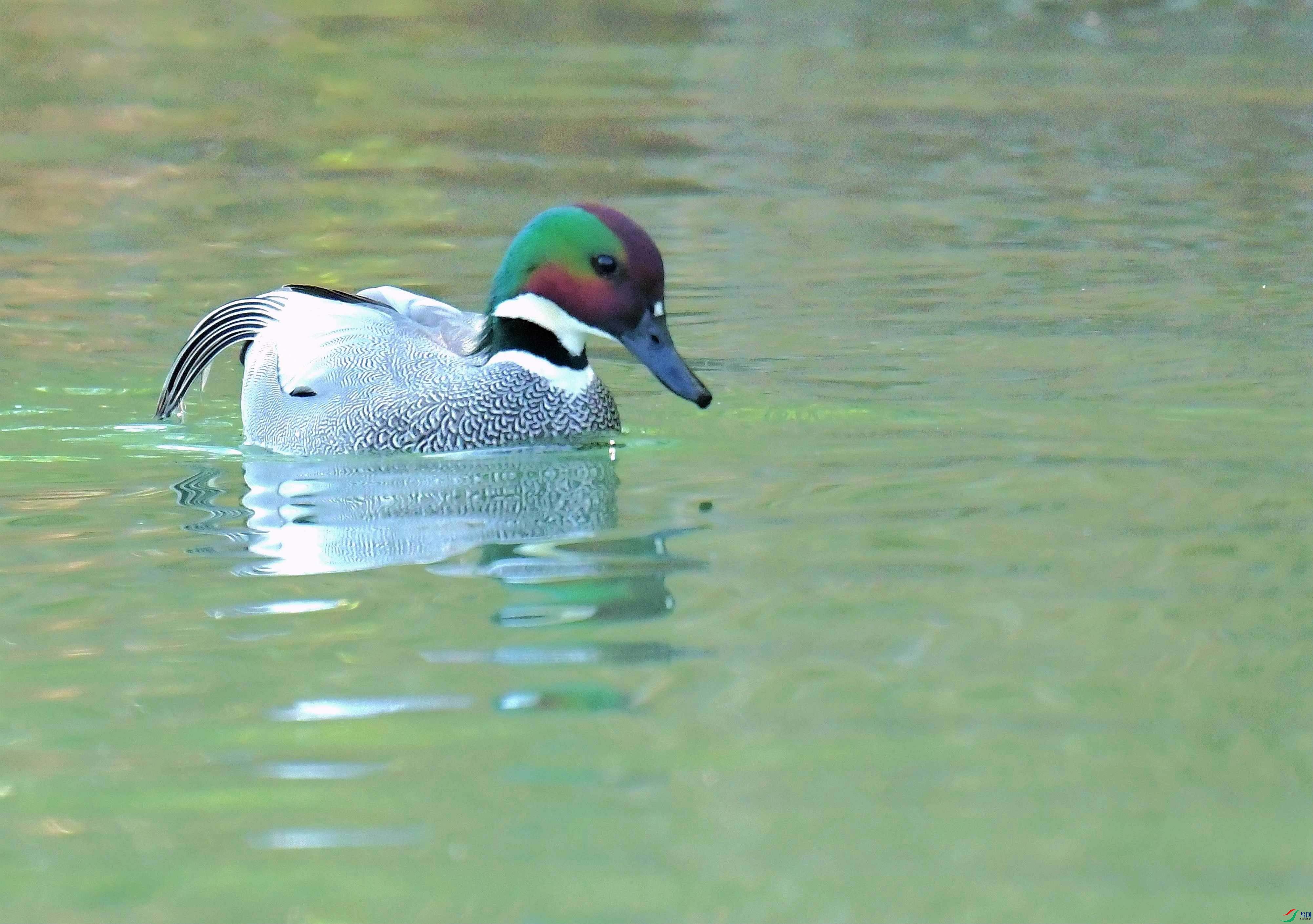 DSC_2167.JPG