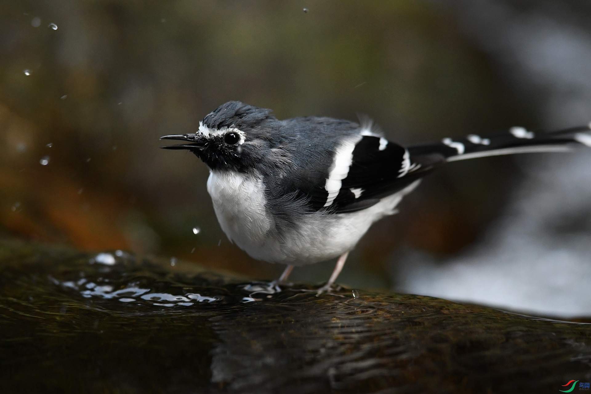 DSC_2144.jpg