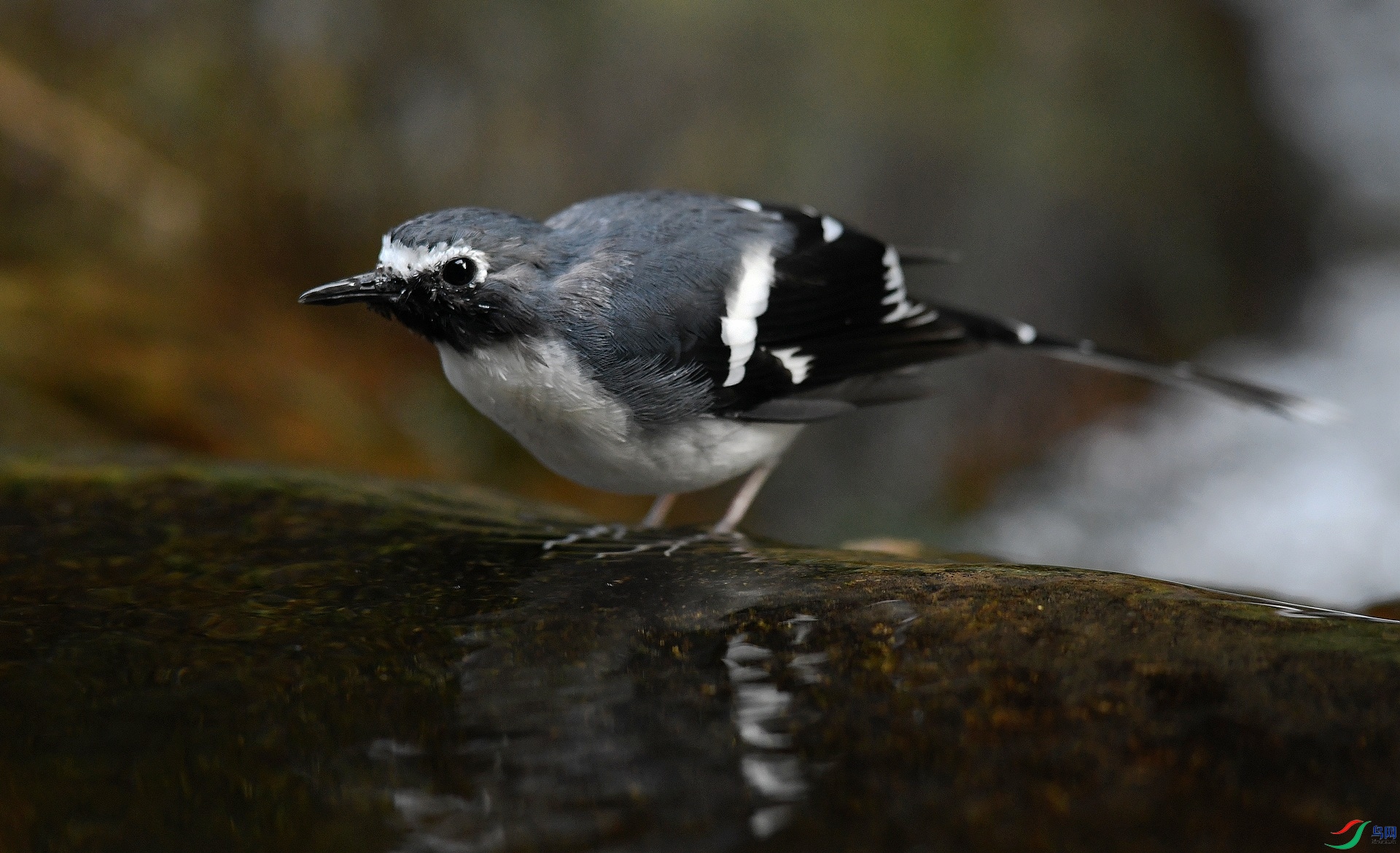 DSC_2063.jpg