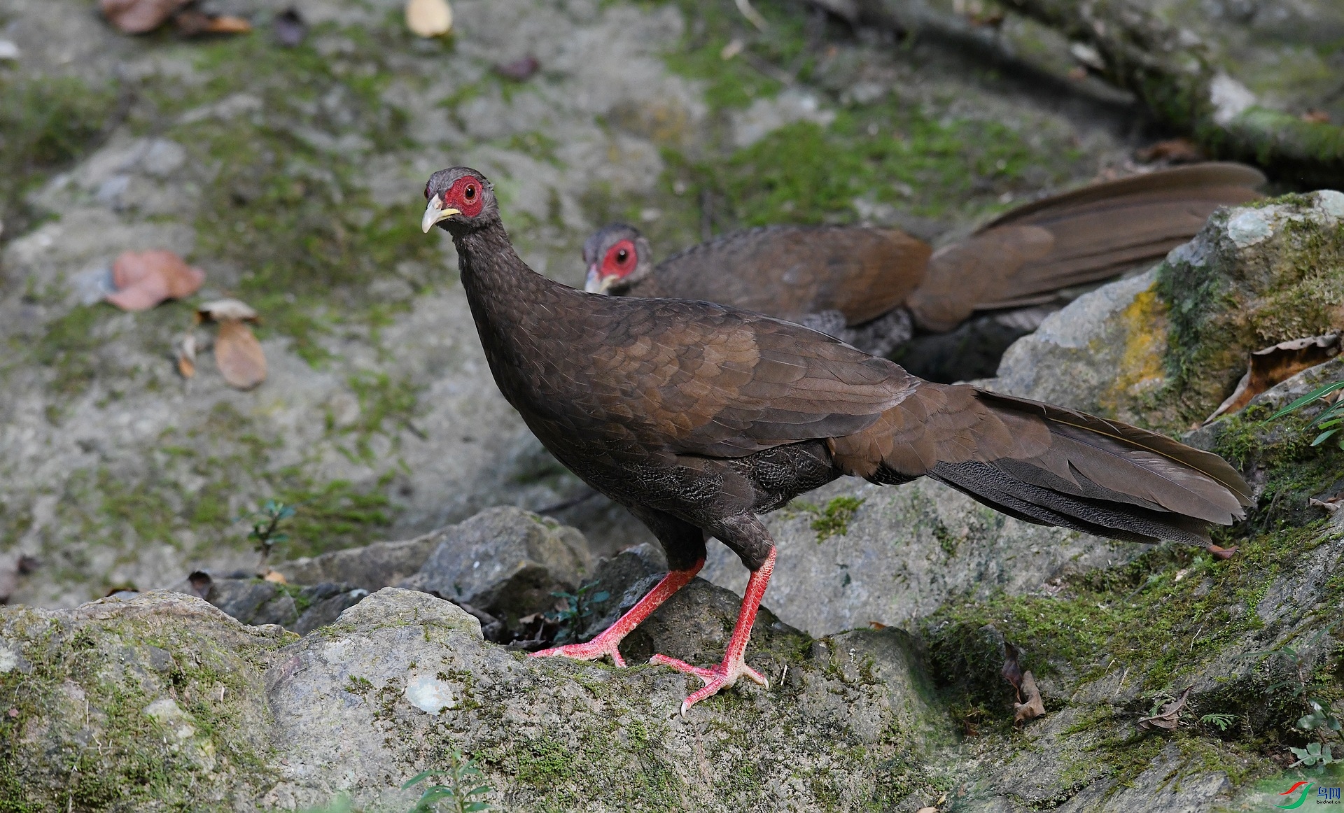 DSC_1397.jpg