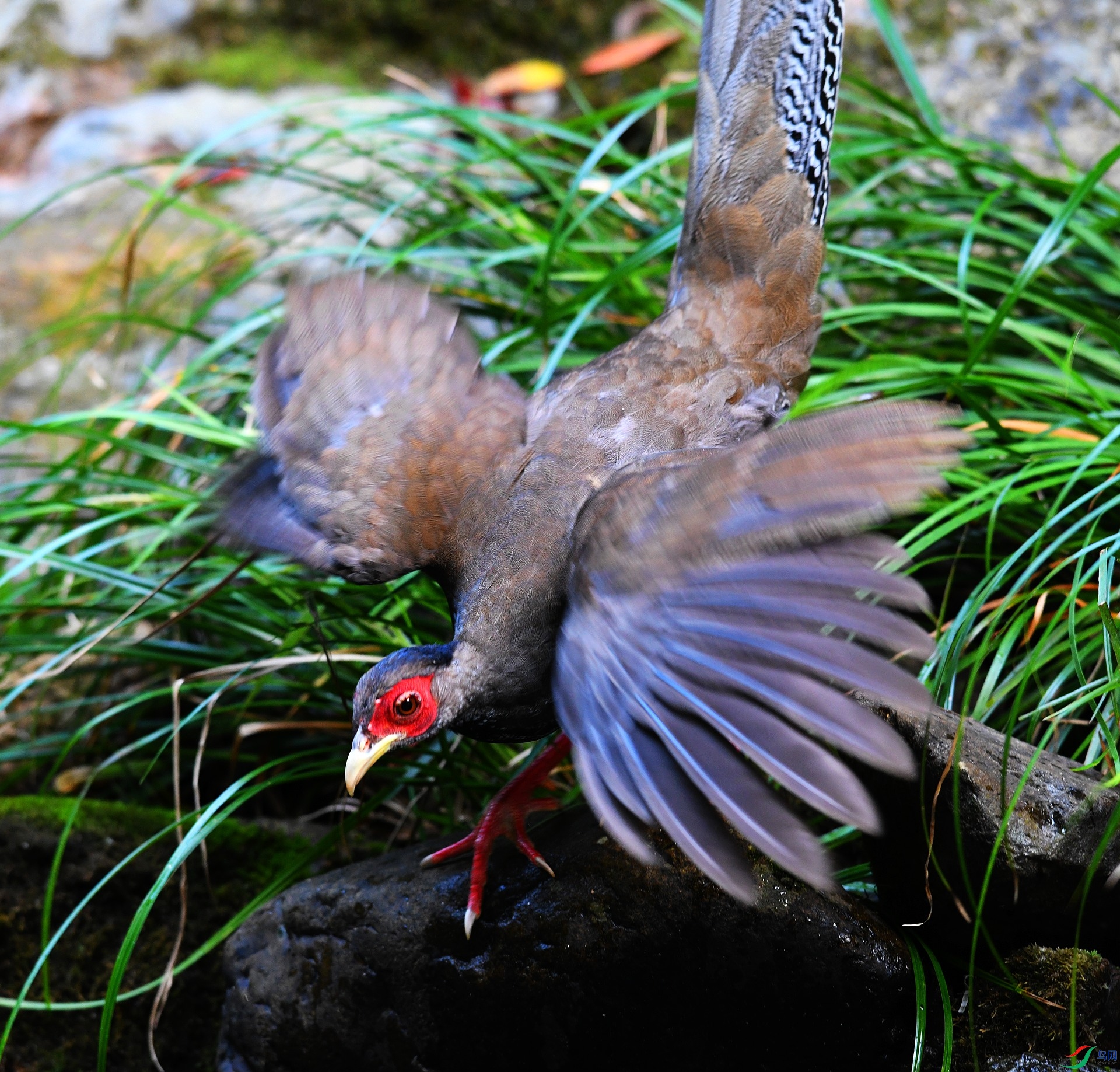 DSC_1435.jpg