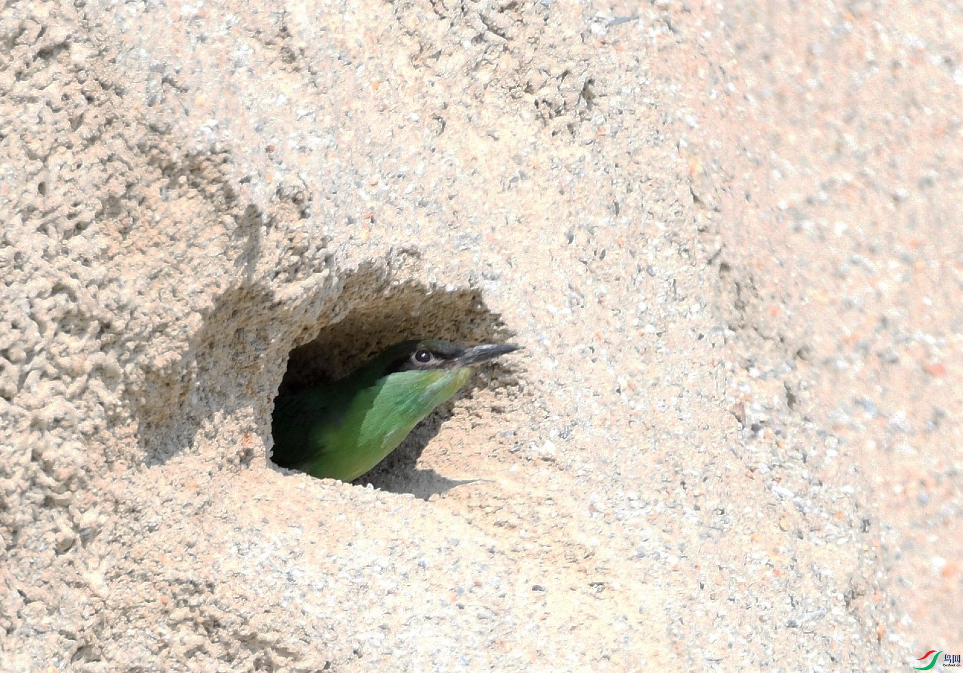 DSC_3437.jpg