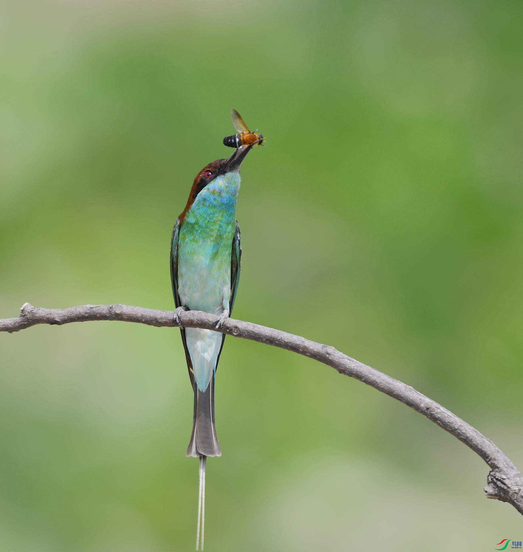 DSC_1390.jpg