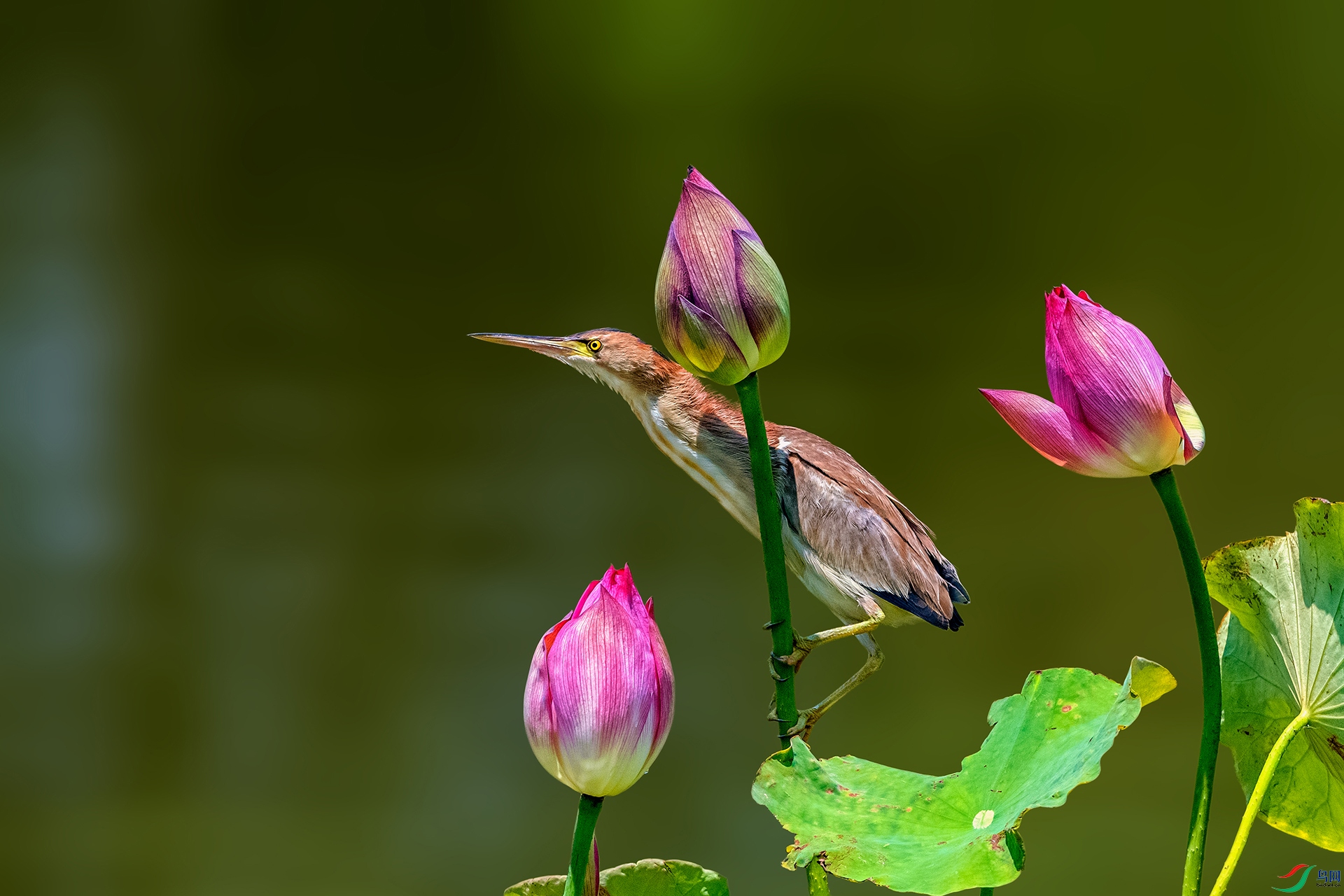 _AUU7640��έ�Z(25.7.29).jpg