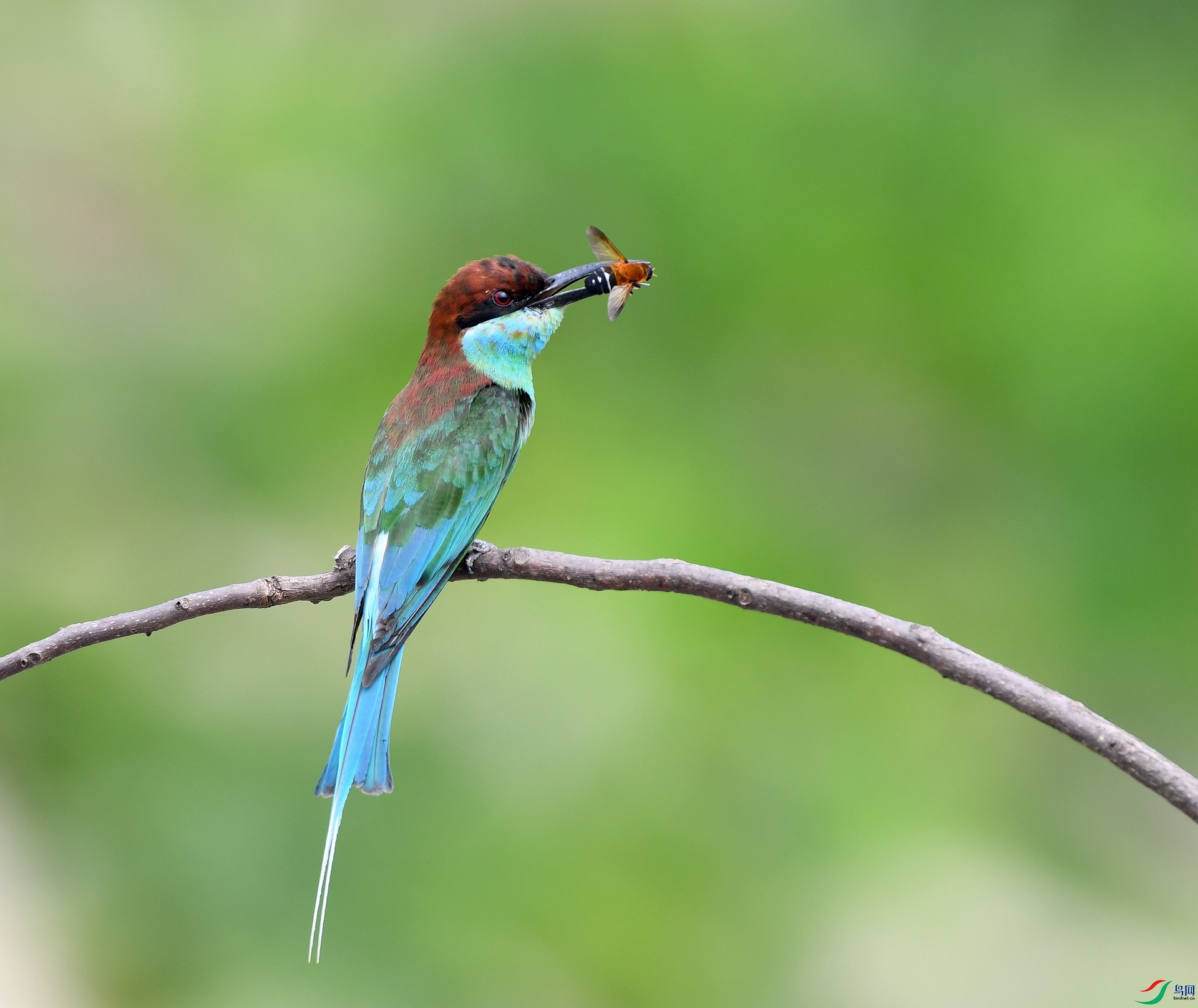 DSC_1232.jpg