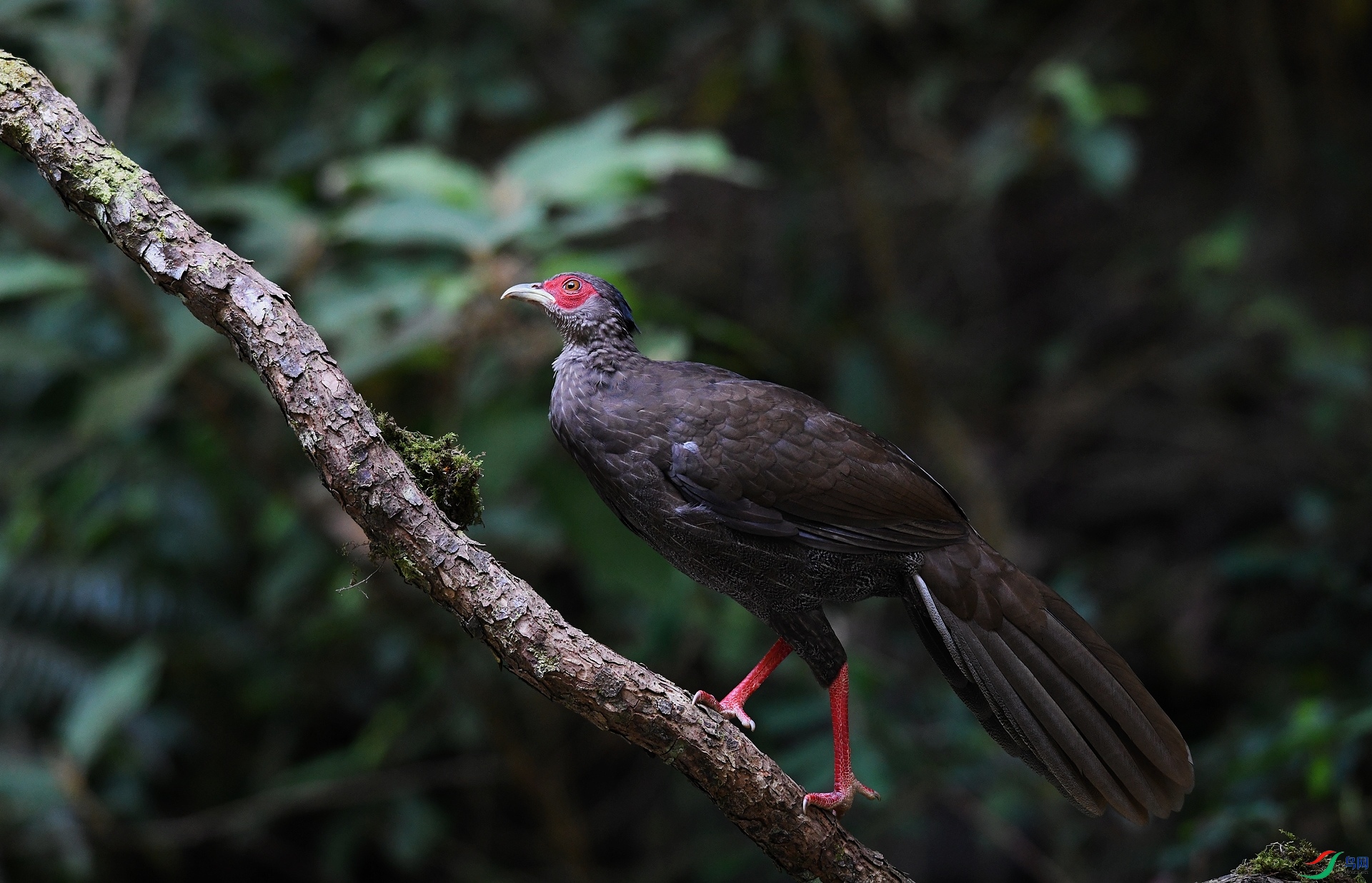 DSC_1588.jpg