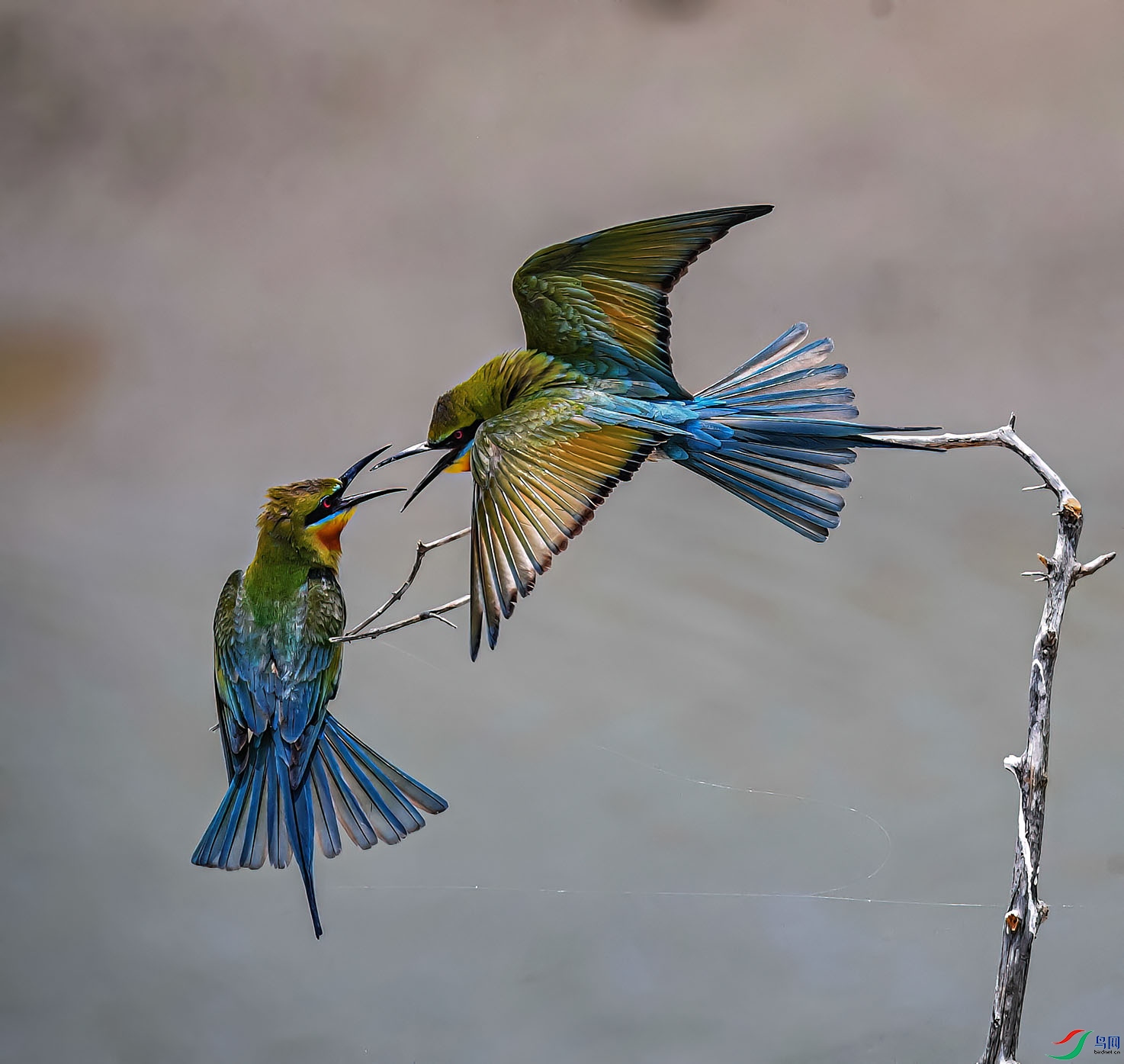 DSC_6135_proc11 ����.jpg