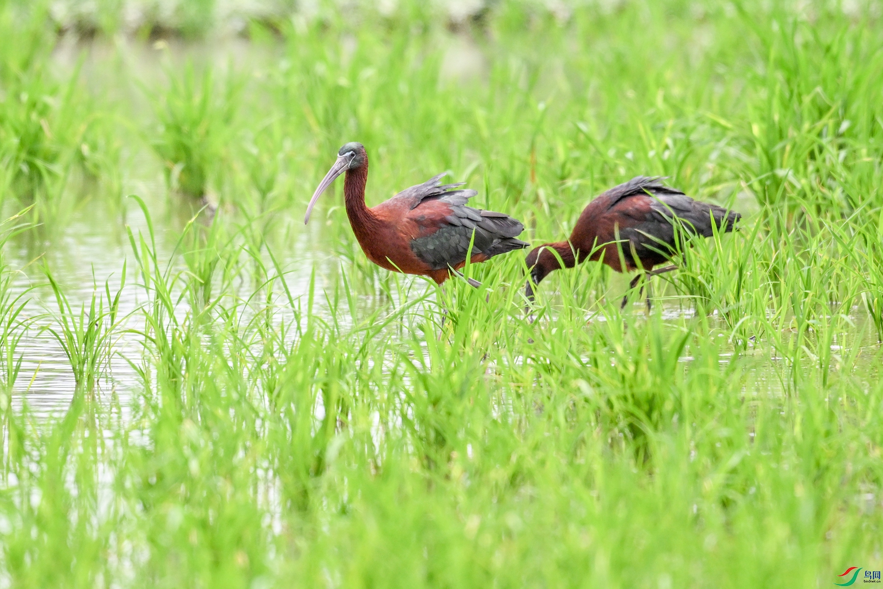 DSC_7835.JPG