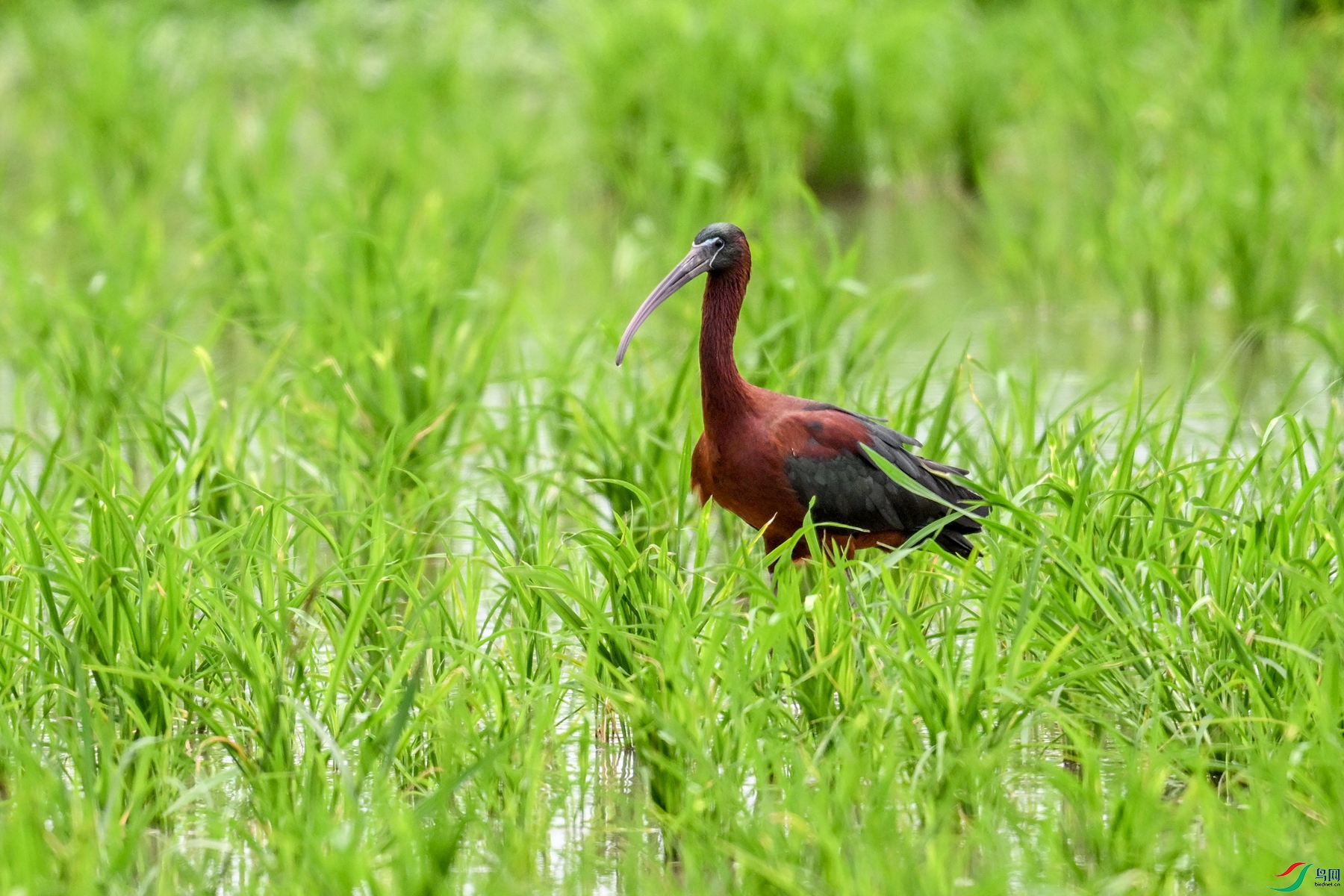 DSC_7853.JPG