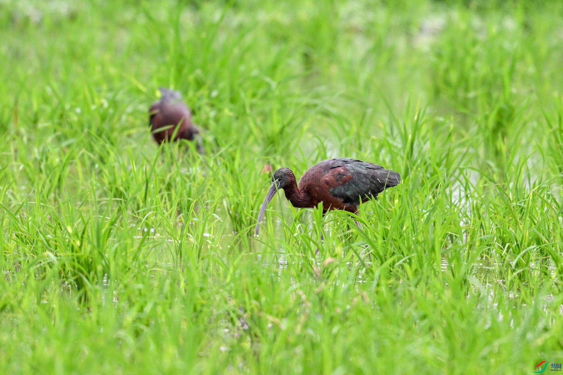 DSC_7812.JPG
