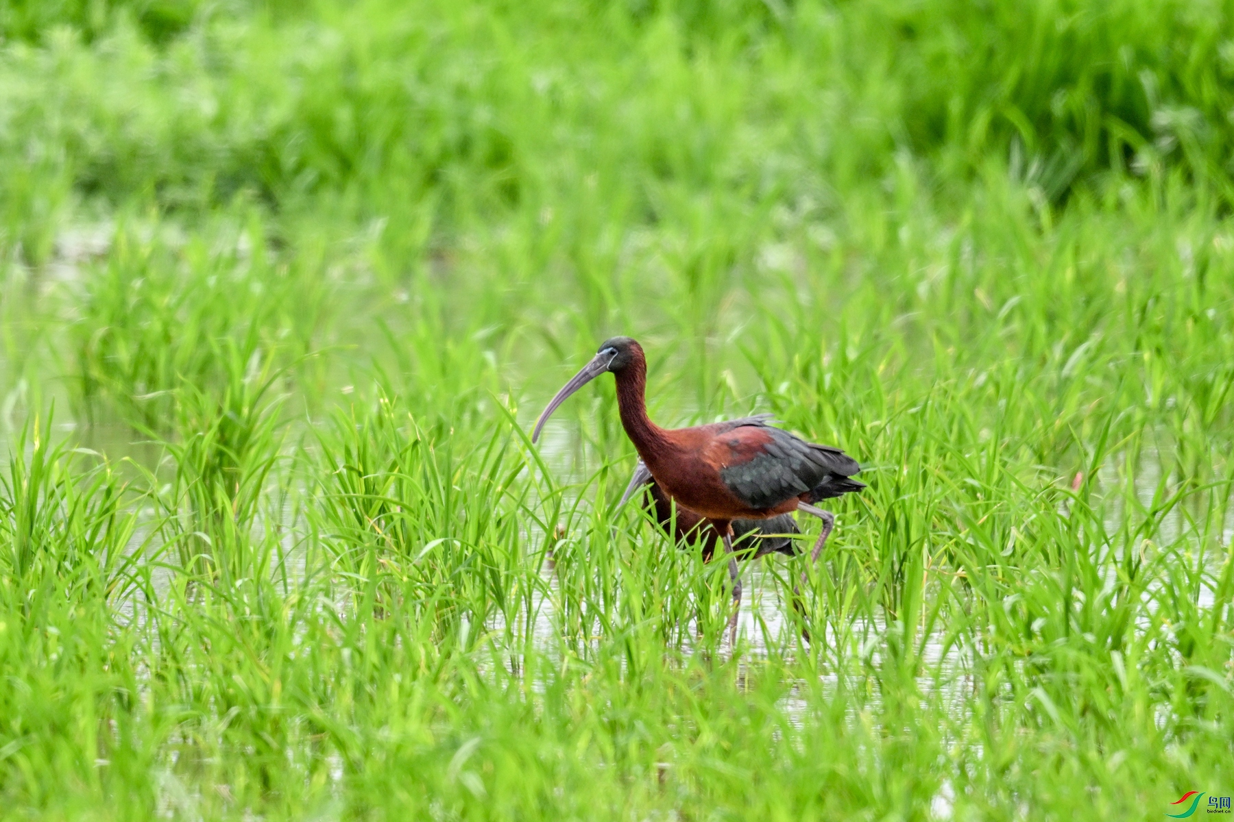 DSC_7818.JPG