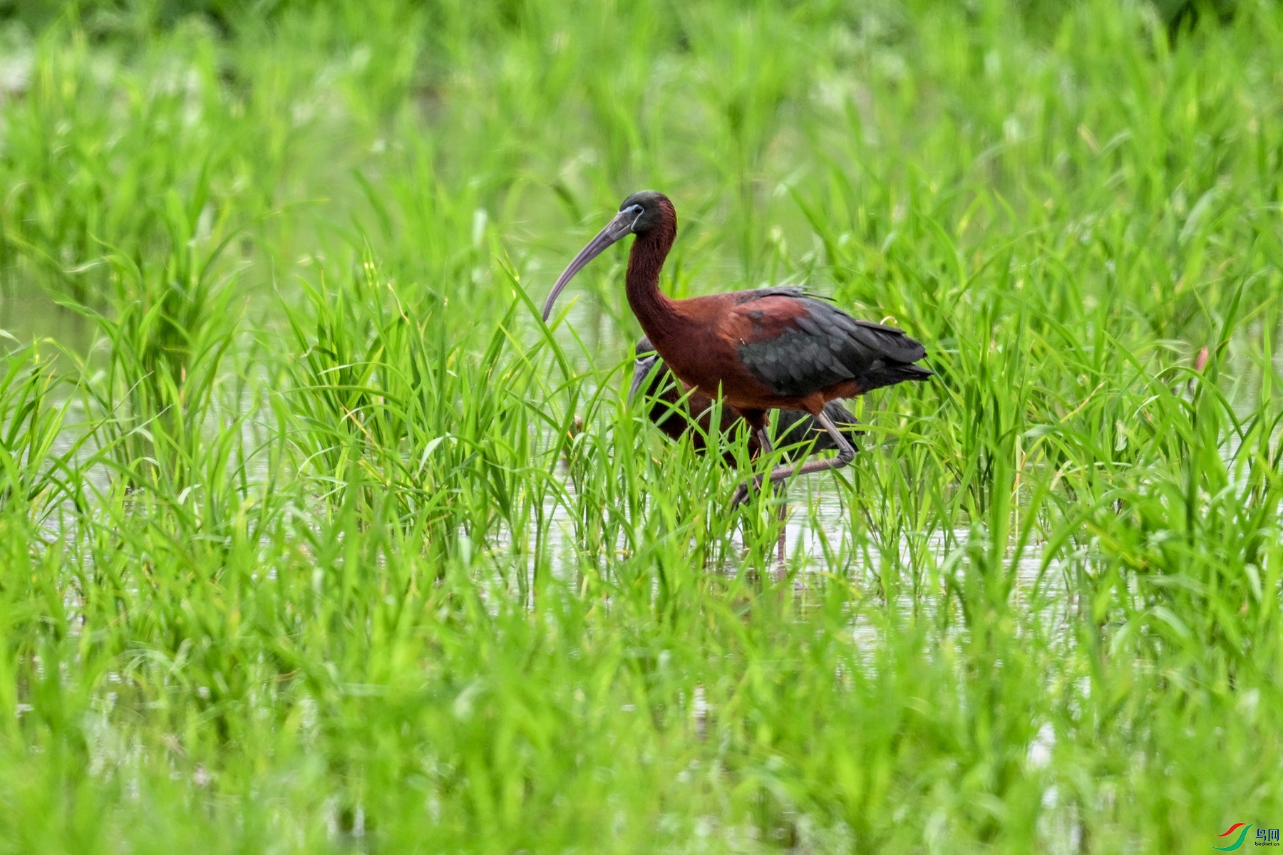 DSC_7820.JPG