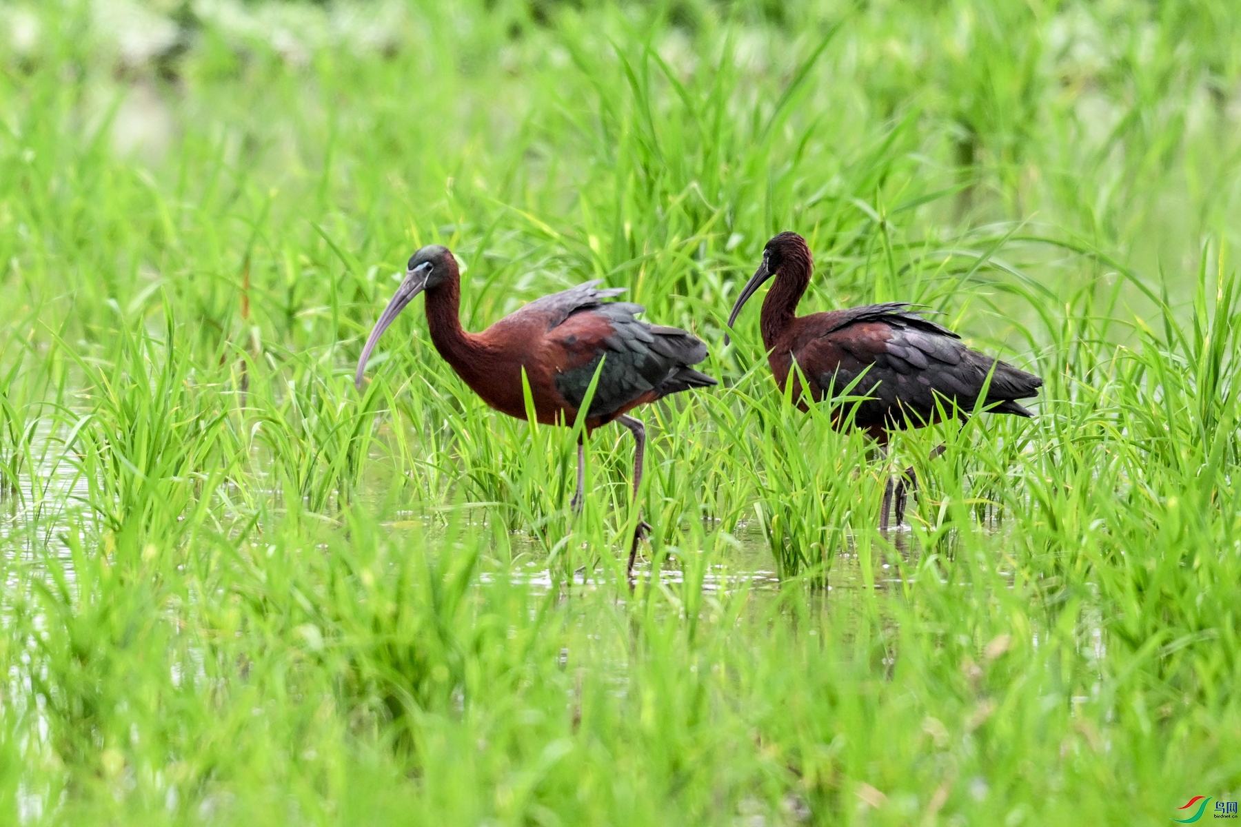 DSC_7832.JPG