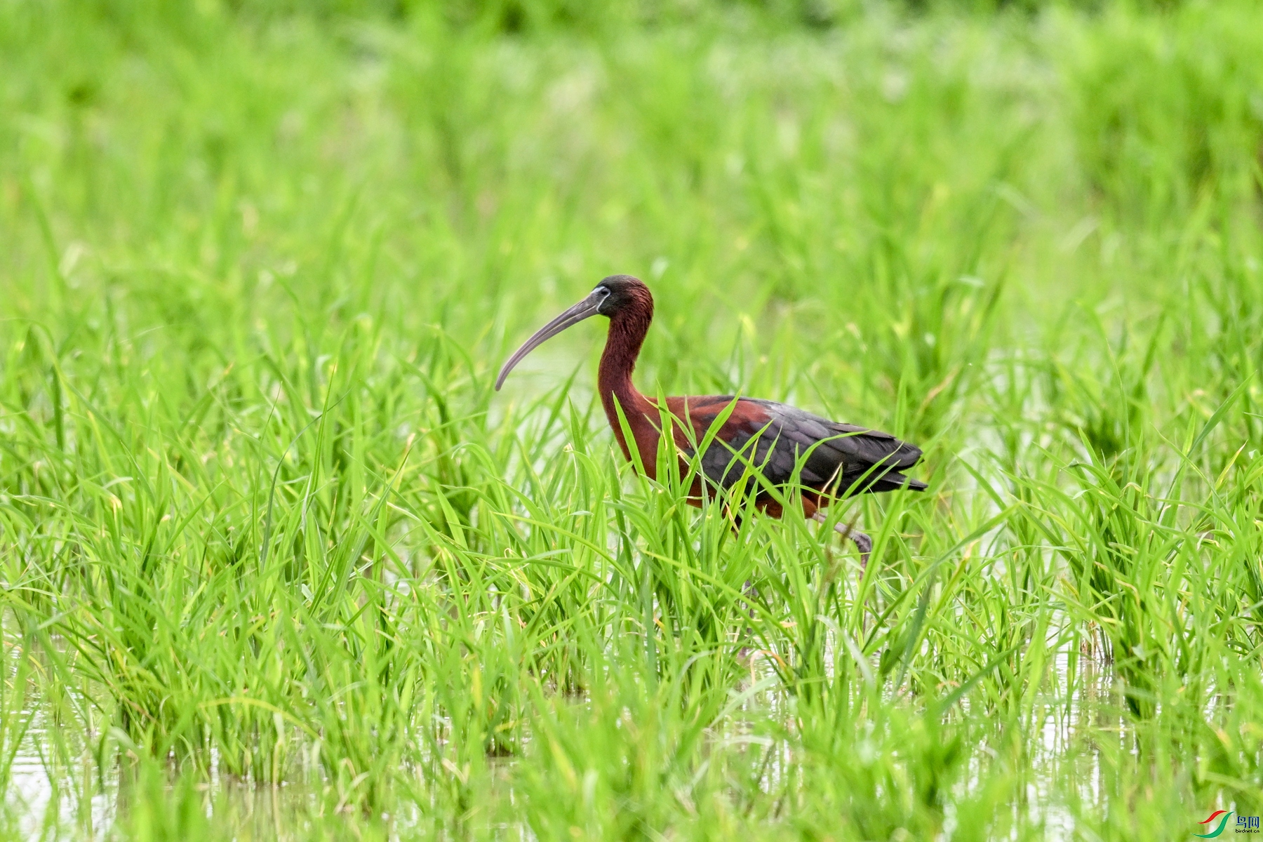 DSC_7855.JPG