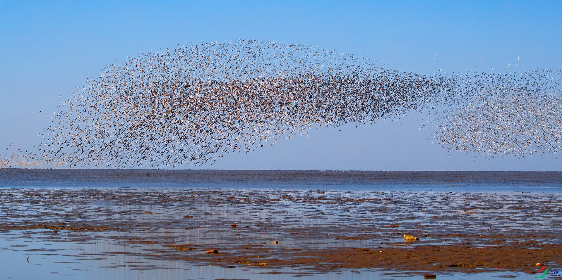 44 ���� ���� ����1dx2 ����100-400mm��ͷ_��ͼ��.jpg