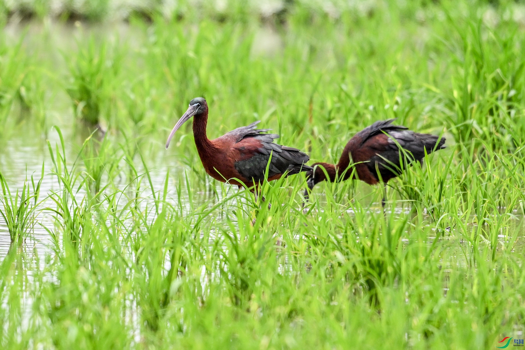 DSC_7833.JPG
