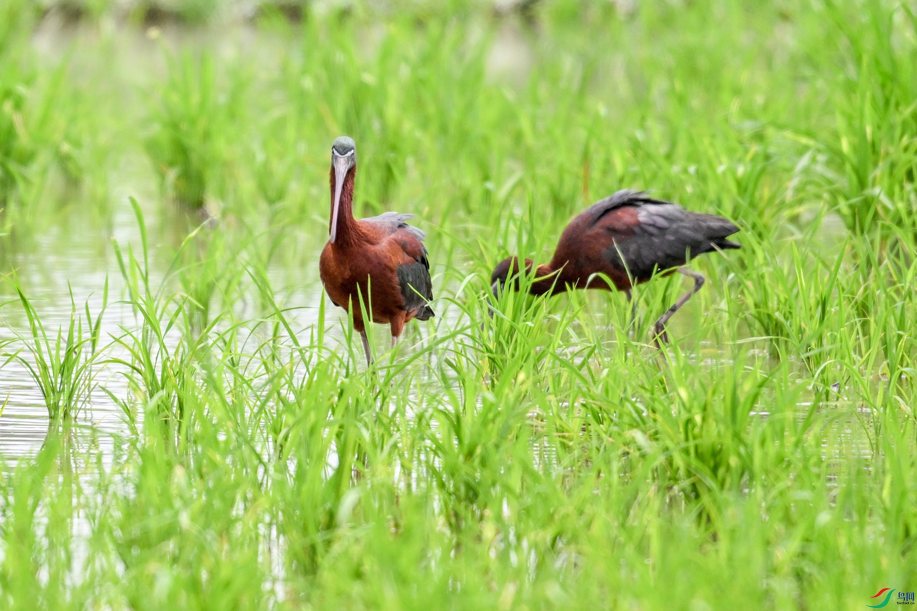 DSC_7836.JPG