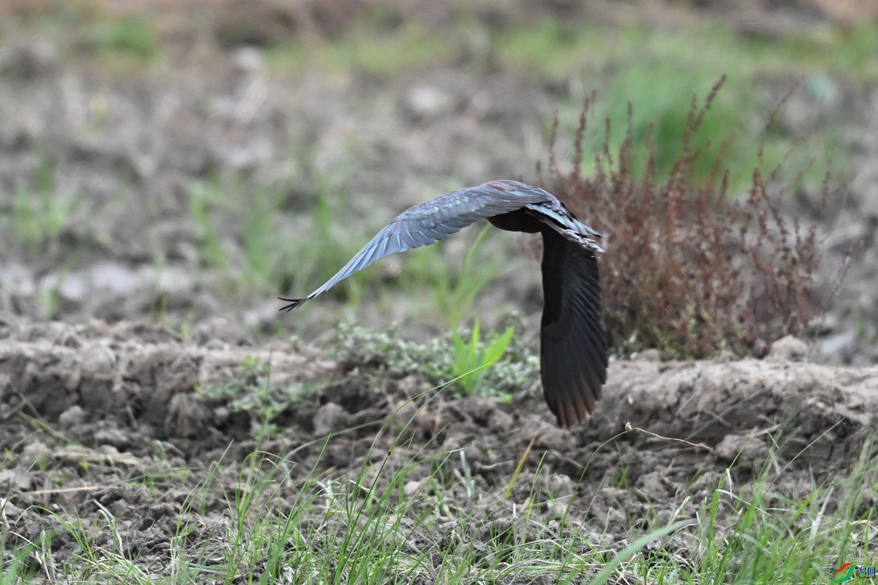 DSC_7554.JPG