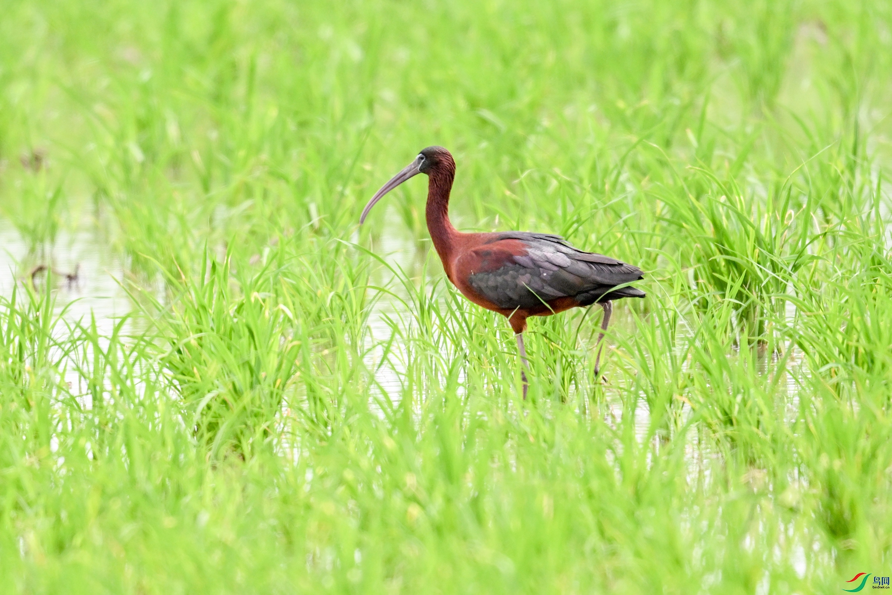 DSC_7870.JPG