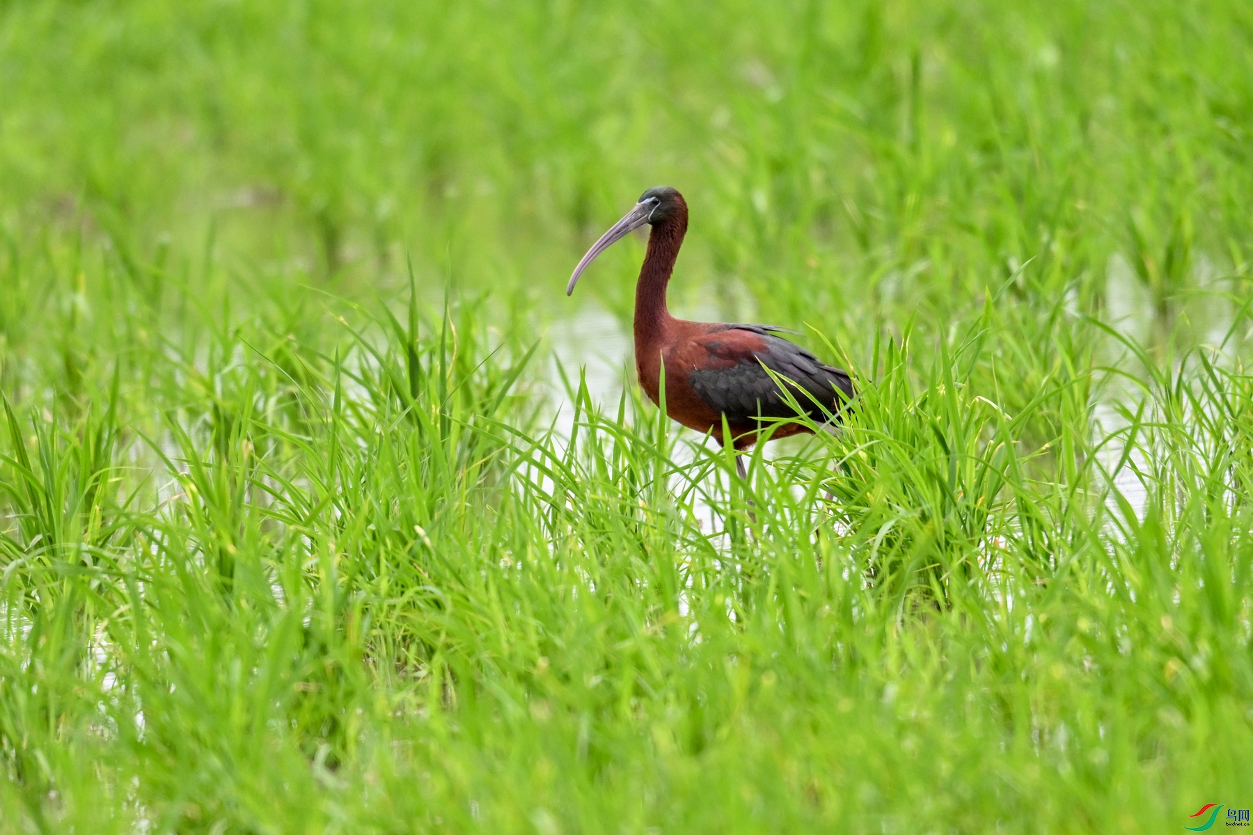 DSC_7872.JPG