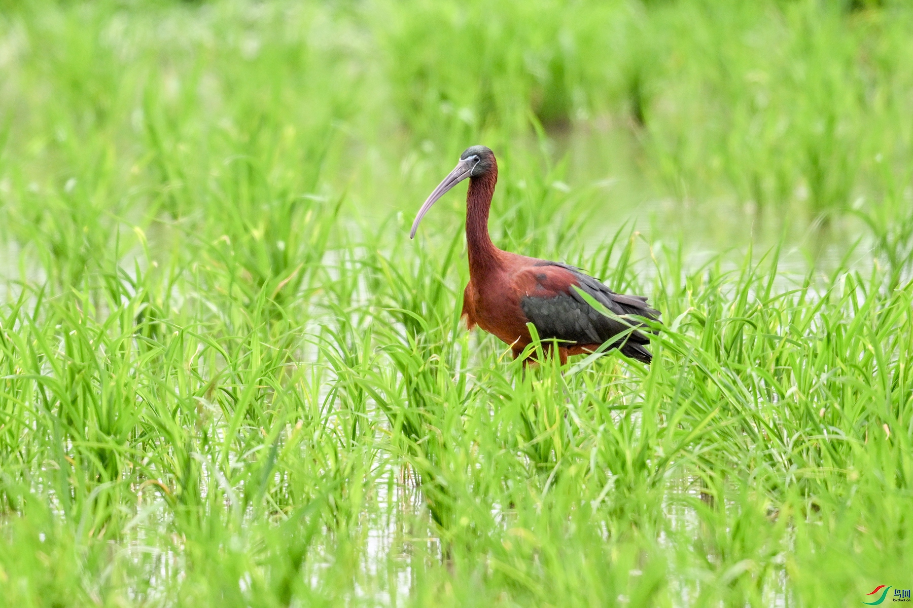 DSC_7852.JPG